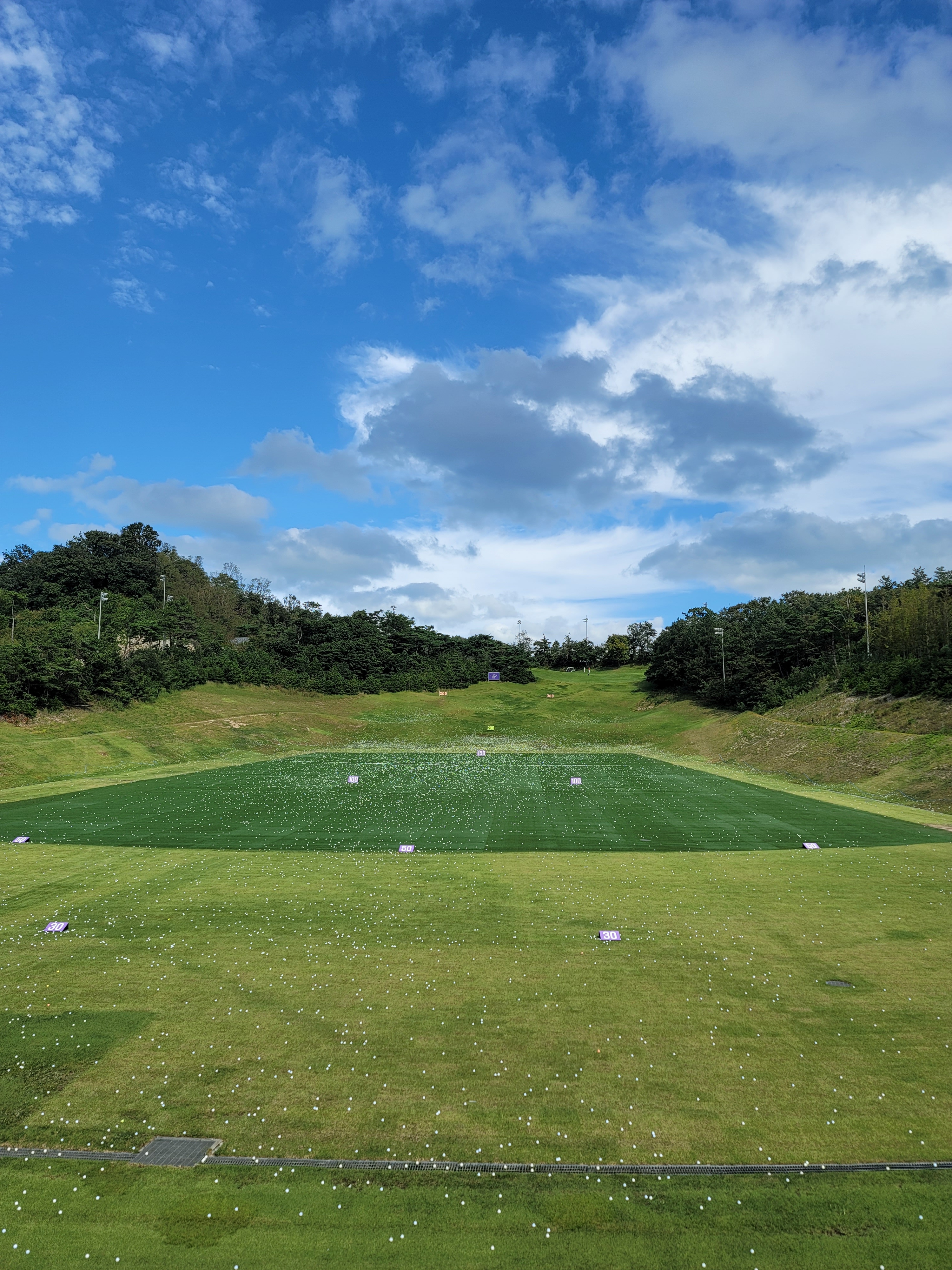 Team Awesomegolf academy 대표 이미지