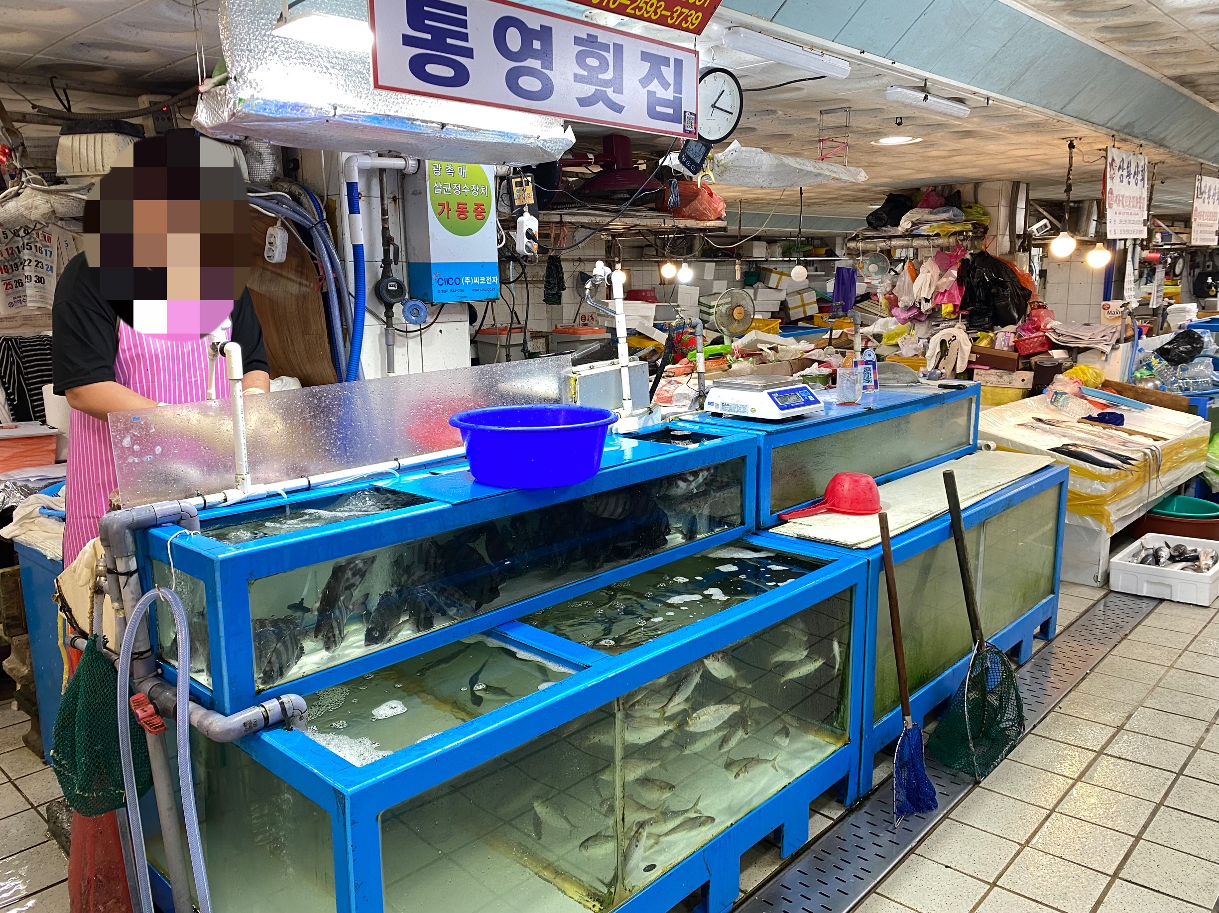 통영수산