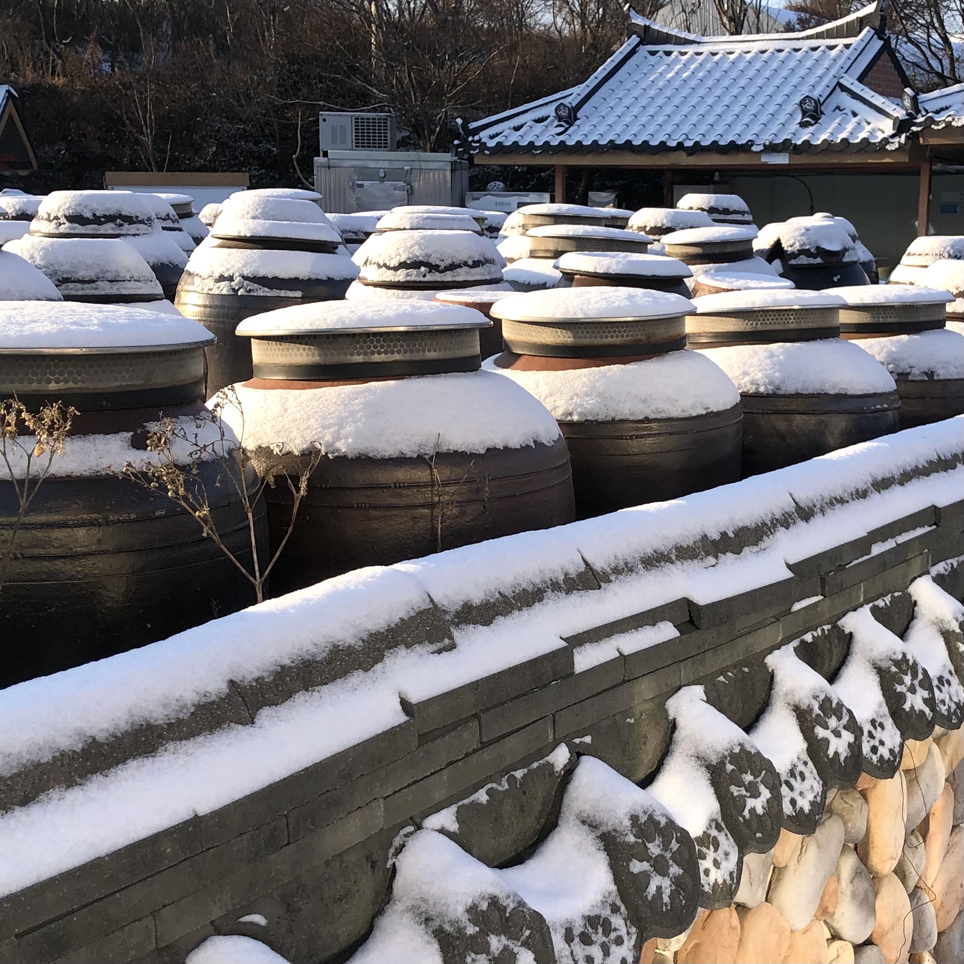 통일촌장단콩마을 설명사진