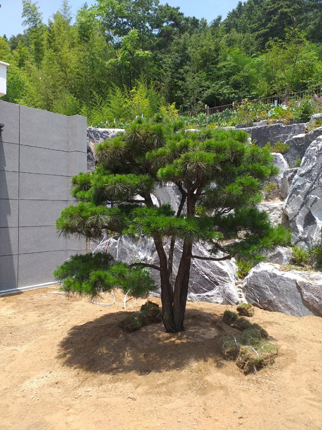 수목조경식물원