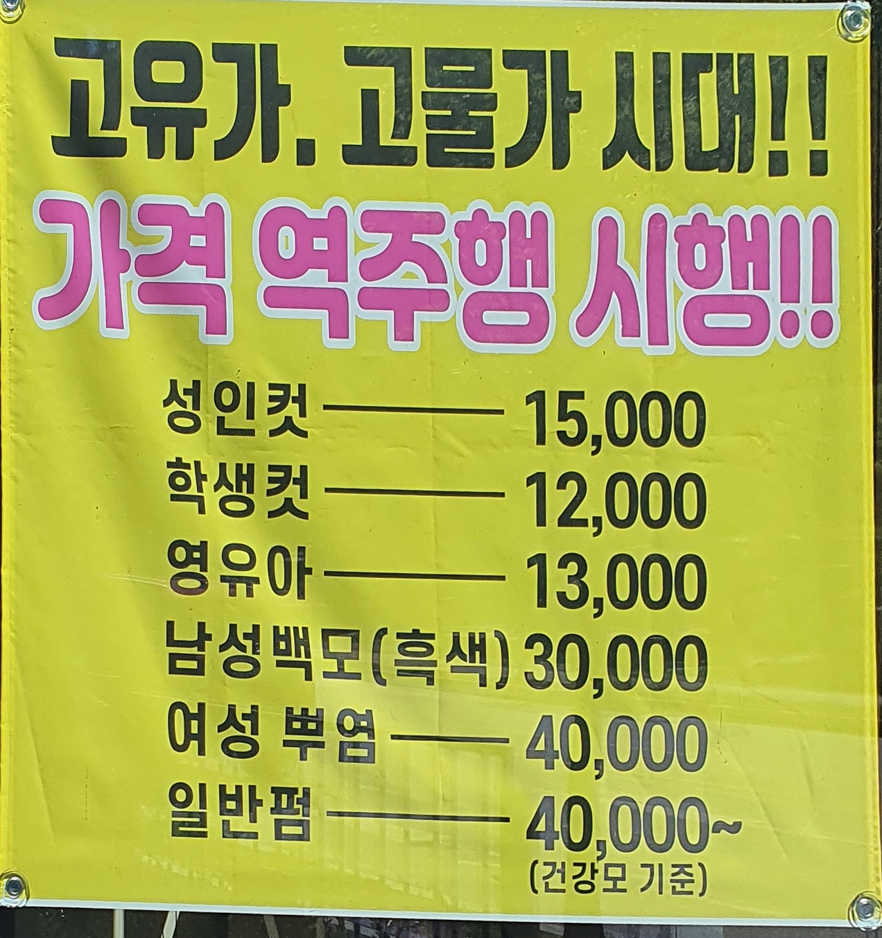 유천의봄