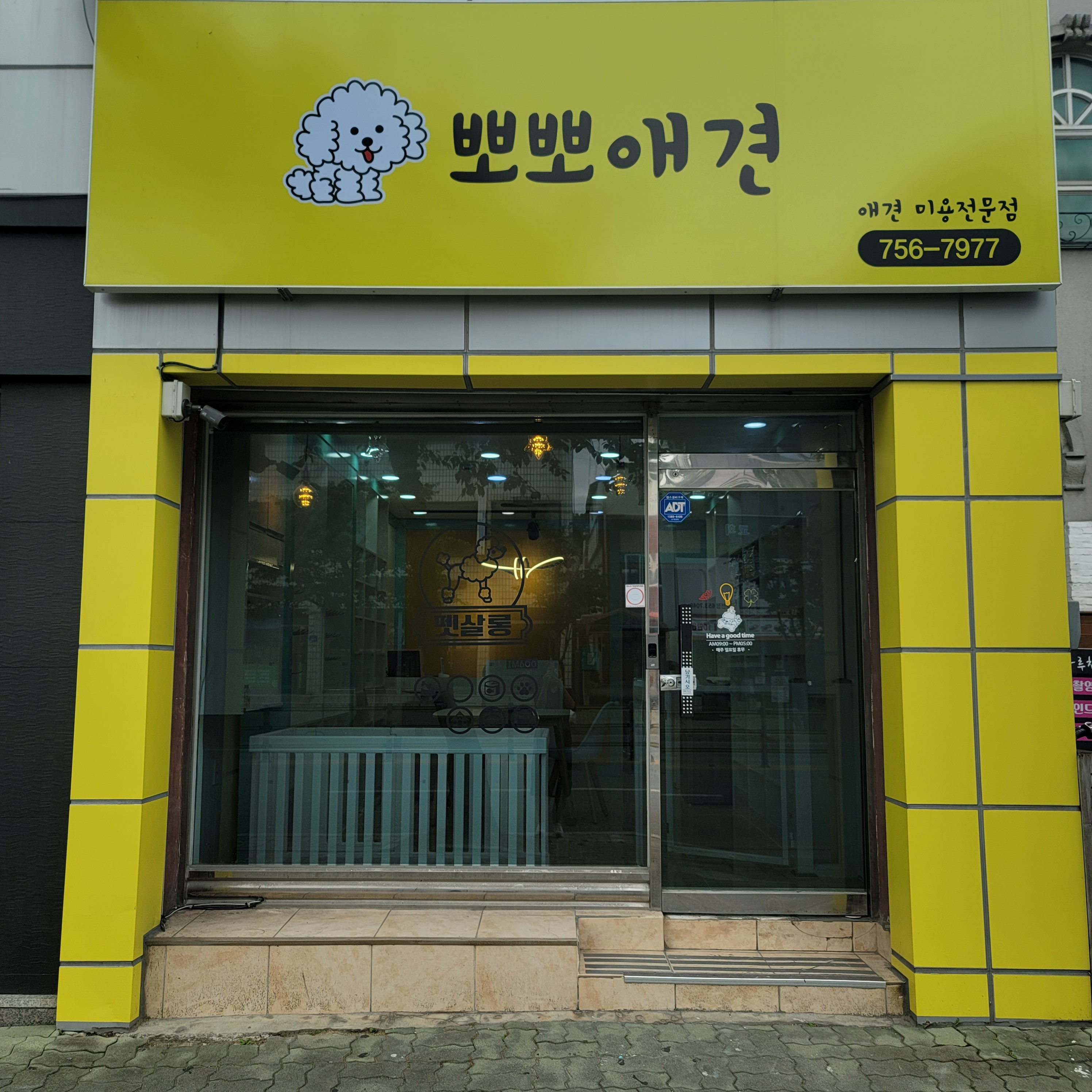 뽀뽀애견 대표 이미지