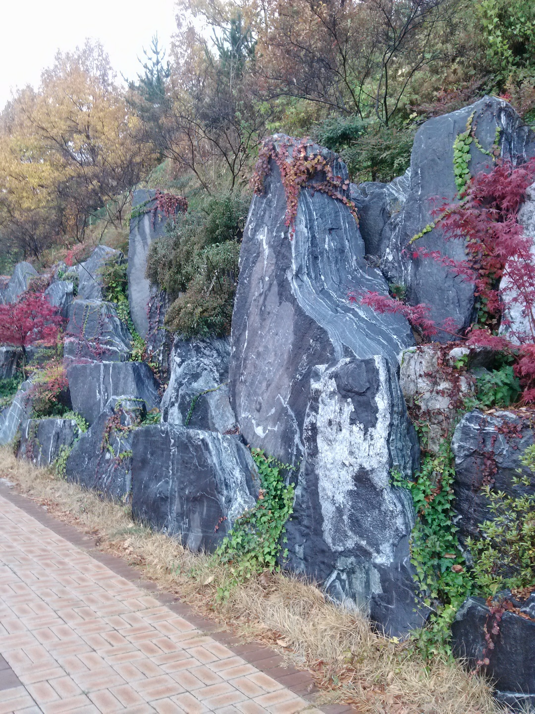 수목조경식물원