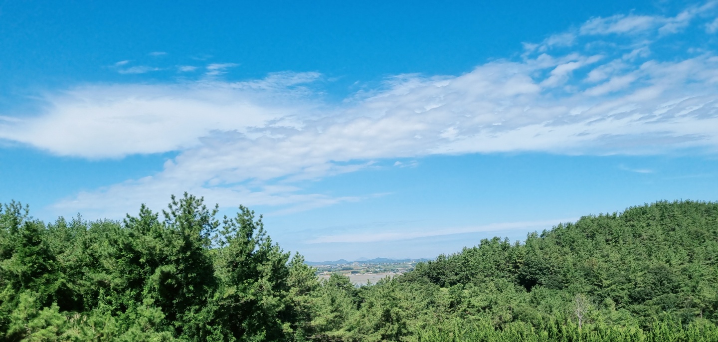 최희열세무회계사무소 대표 이미지