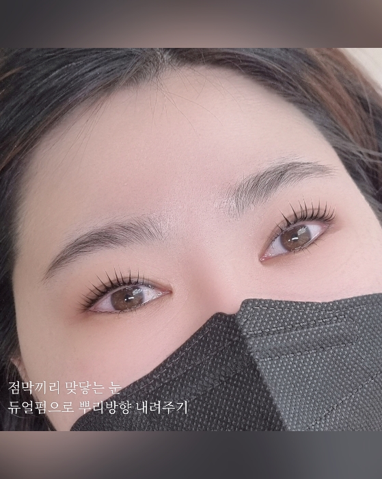 브로우제니아르 양주옥정점