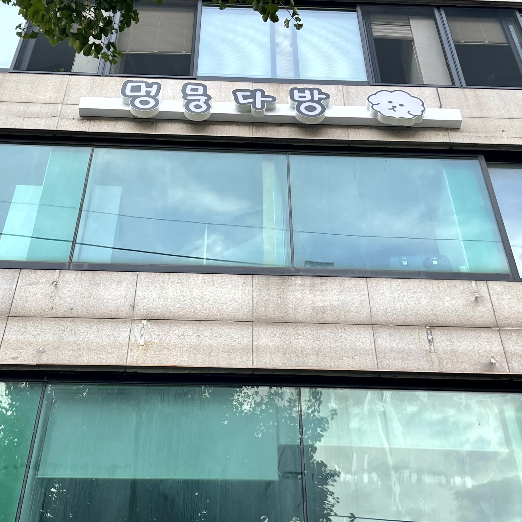 멍뭉다방 대표 이미지
