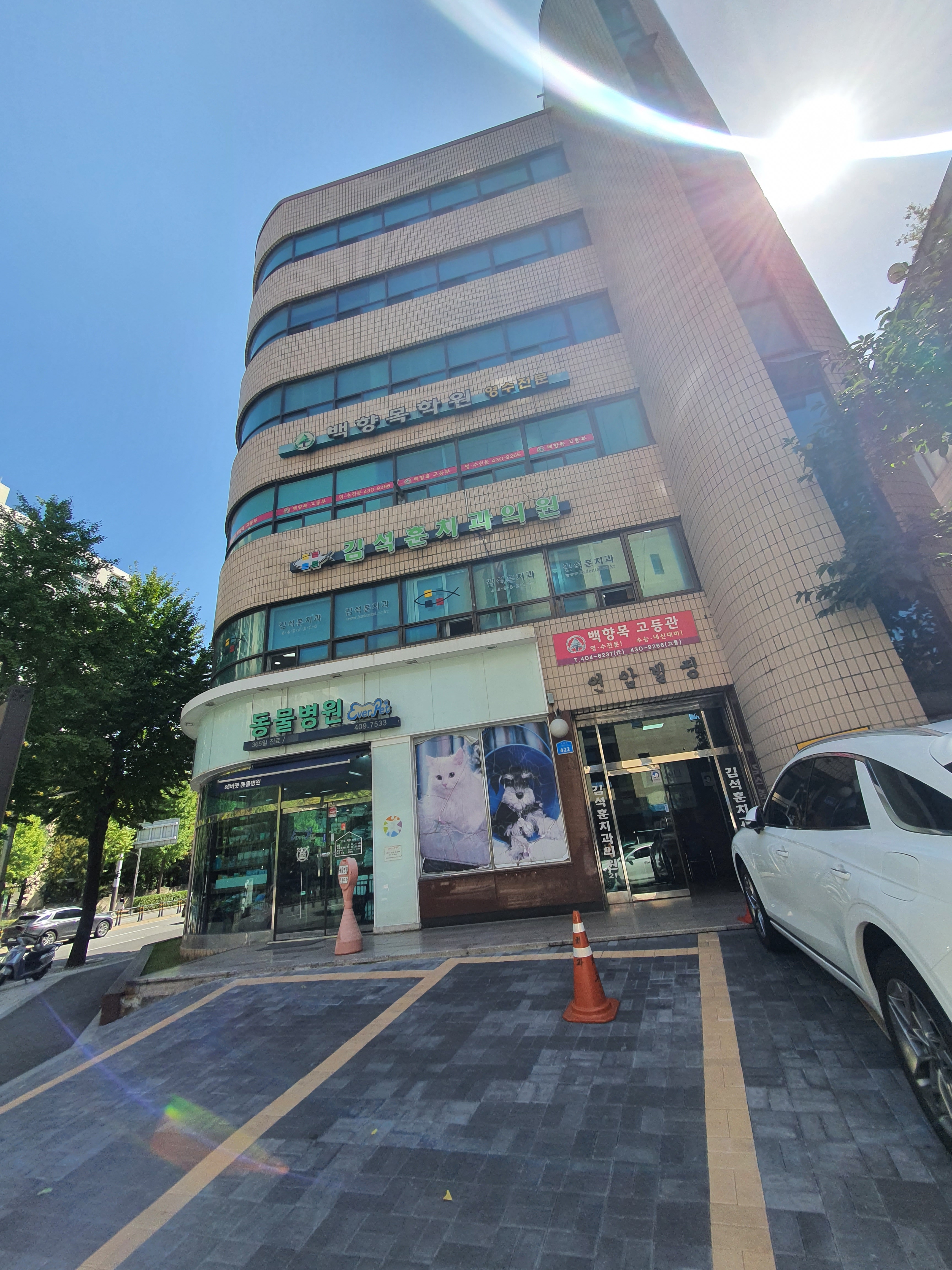 에버펫동물병원 대표 이미지