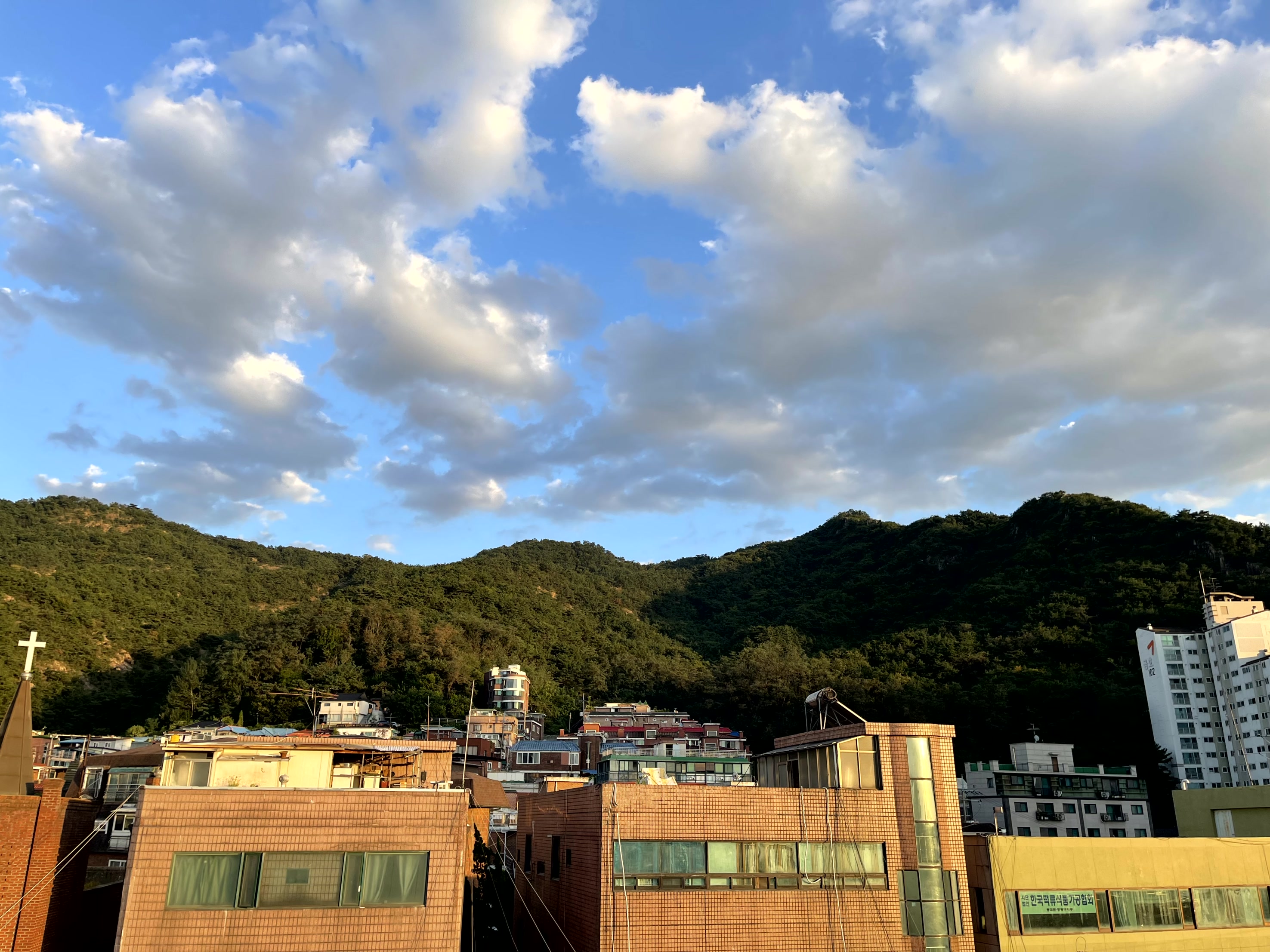 멍뭉다방 대표 이미지