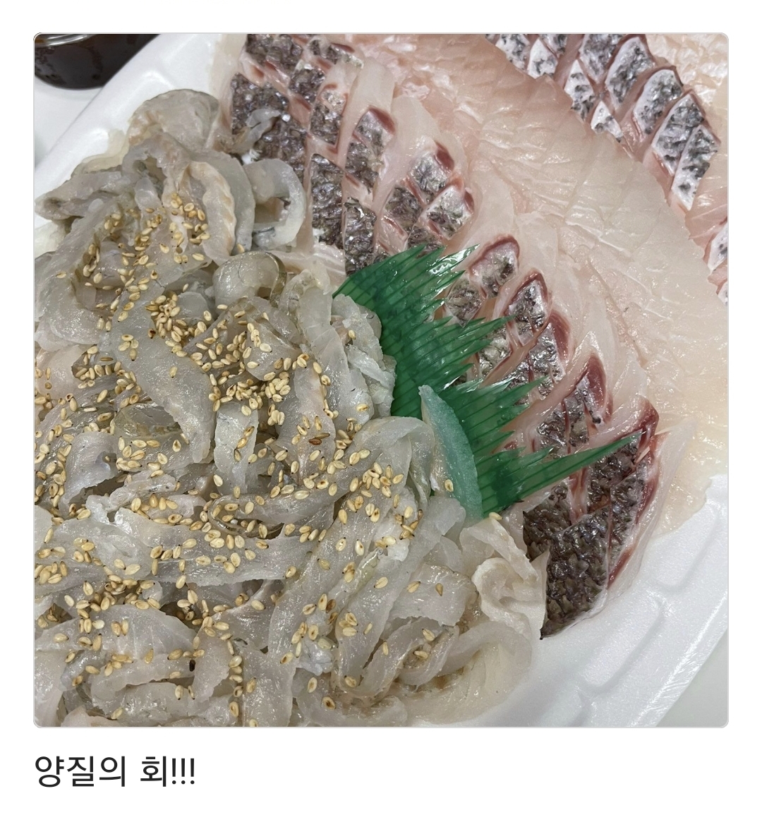 외도회수산