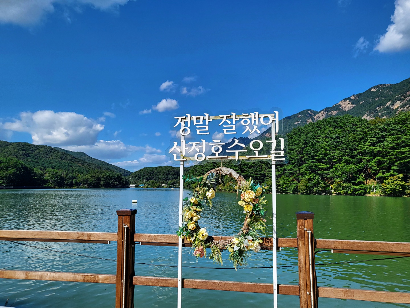 사진 2
