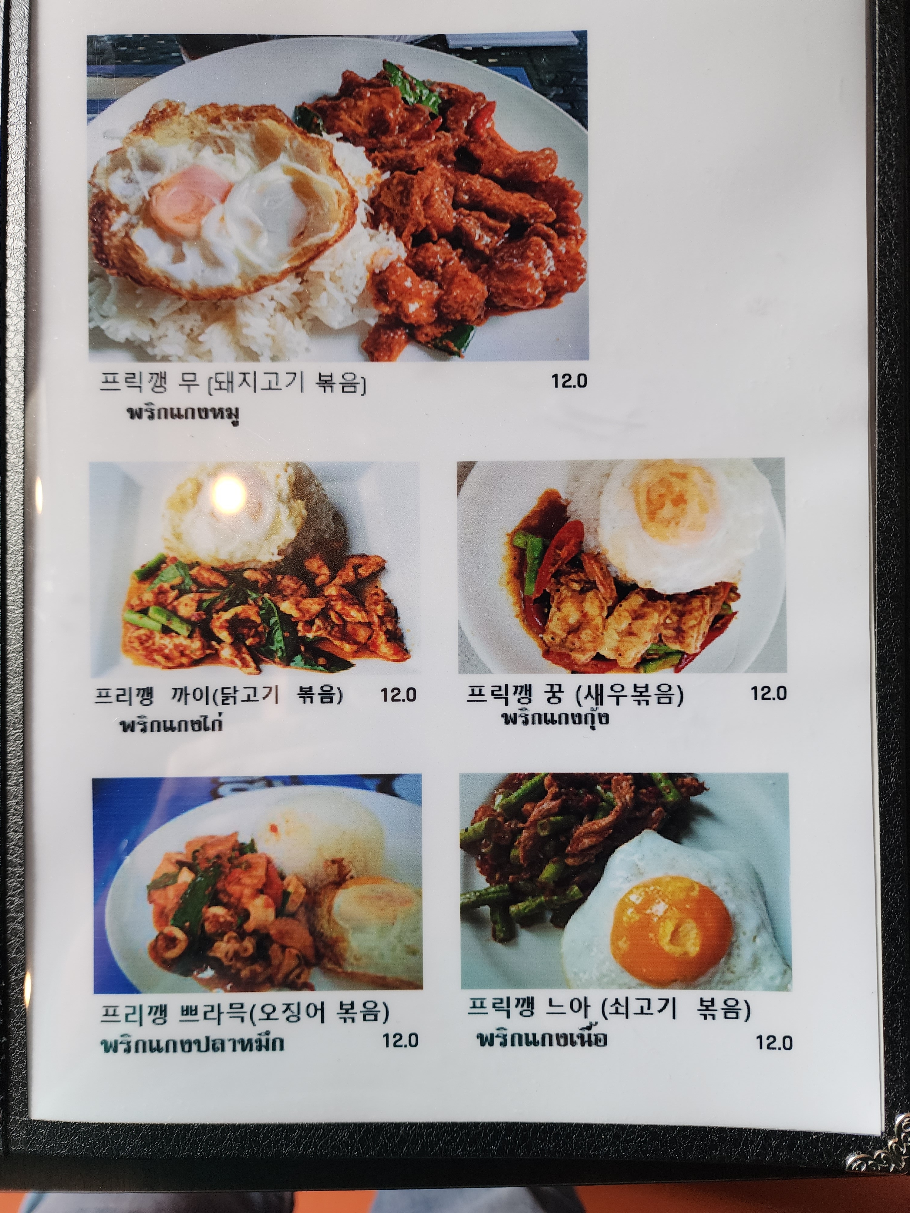 아로이카