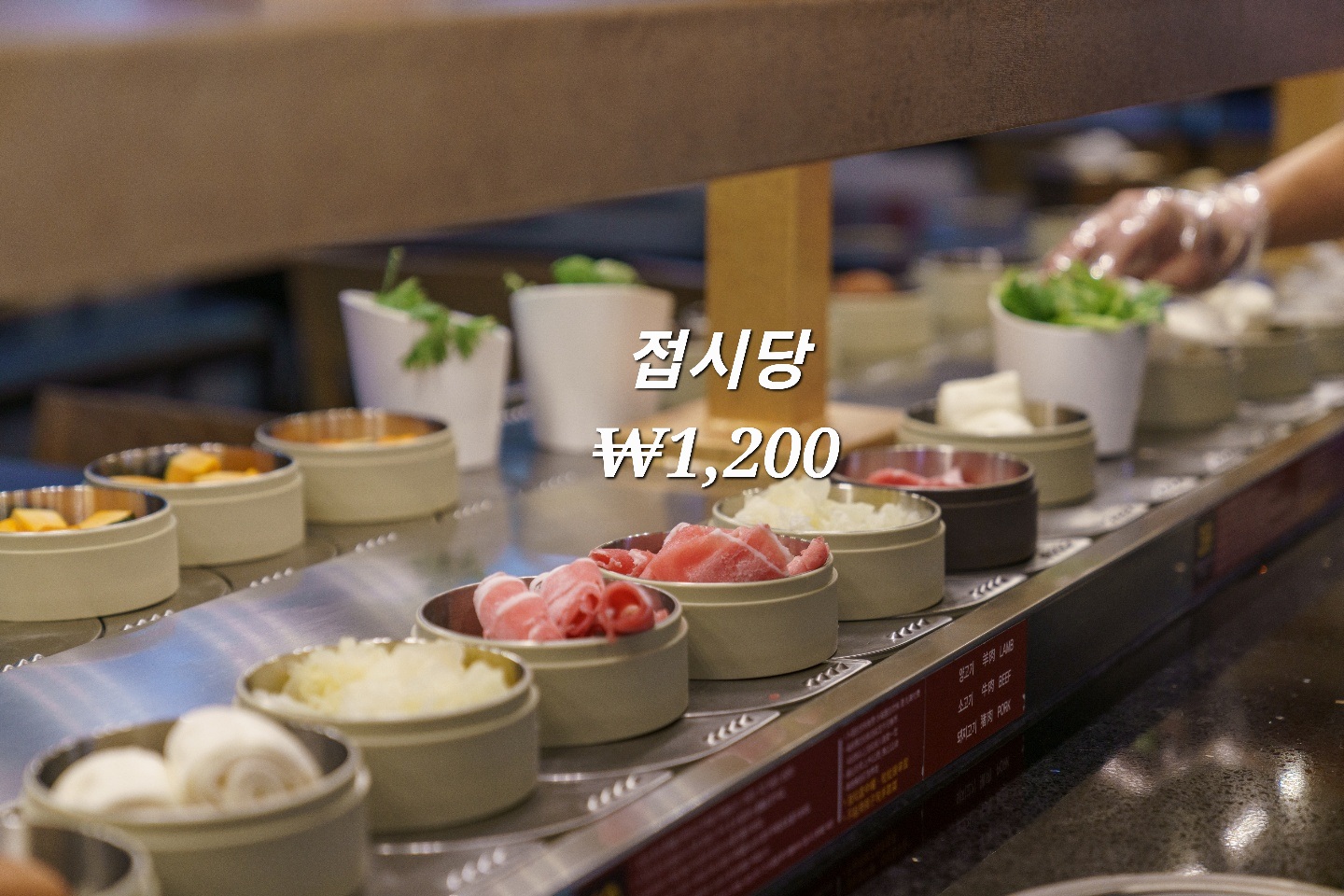 NaVET | 양고기추천 제주 제주시 양고기잘하는 맛집 방문해 보세요 더회전훠궈