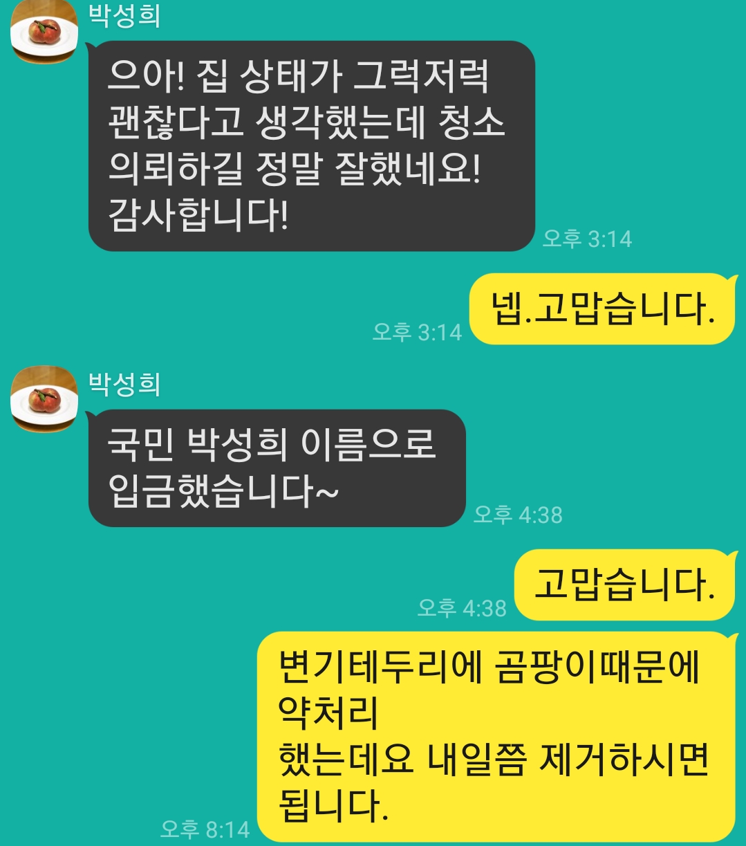 명성스팀청소
