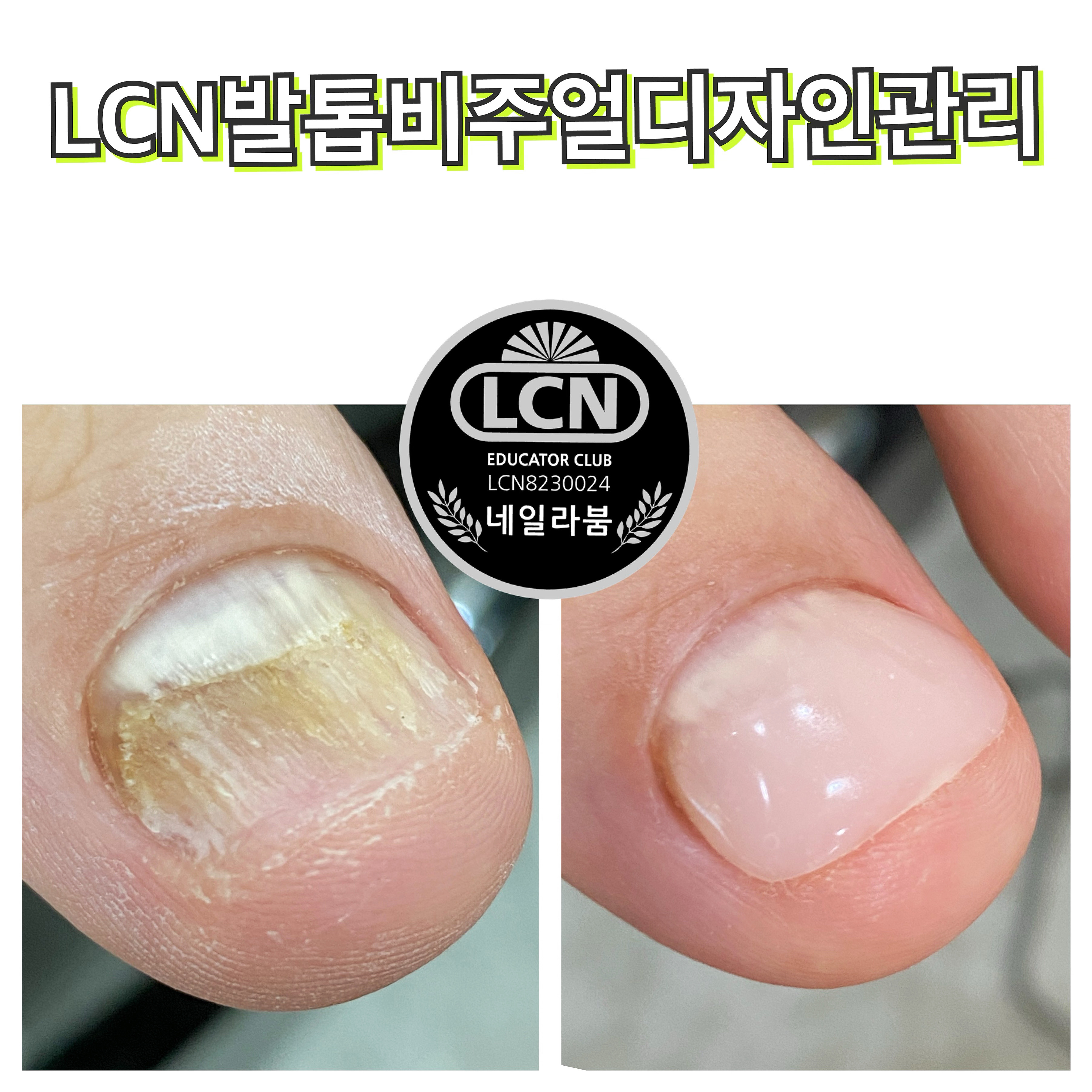LCN라운지 네일라붐 대전유성점