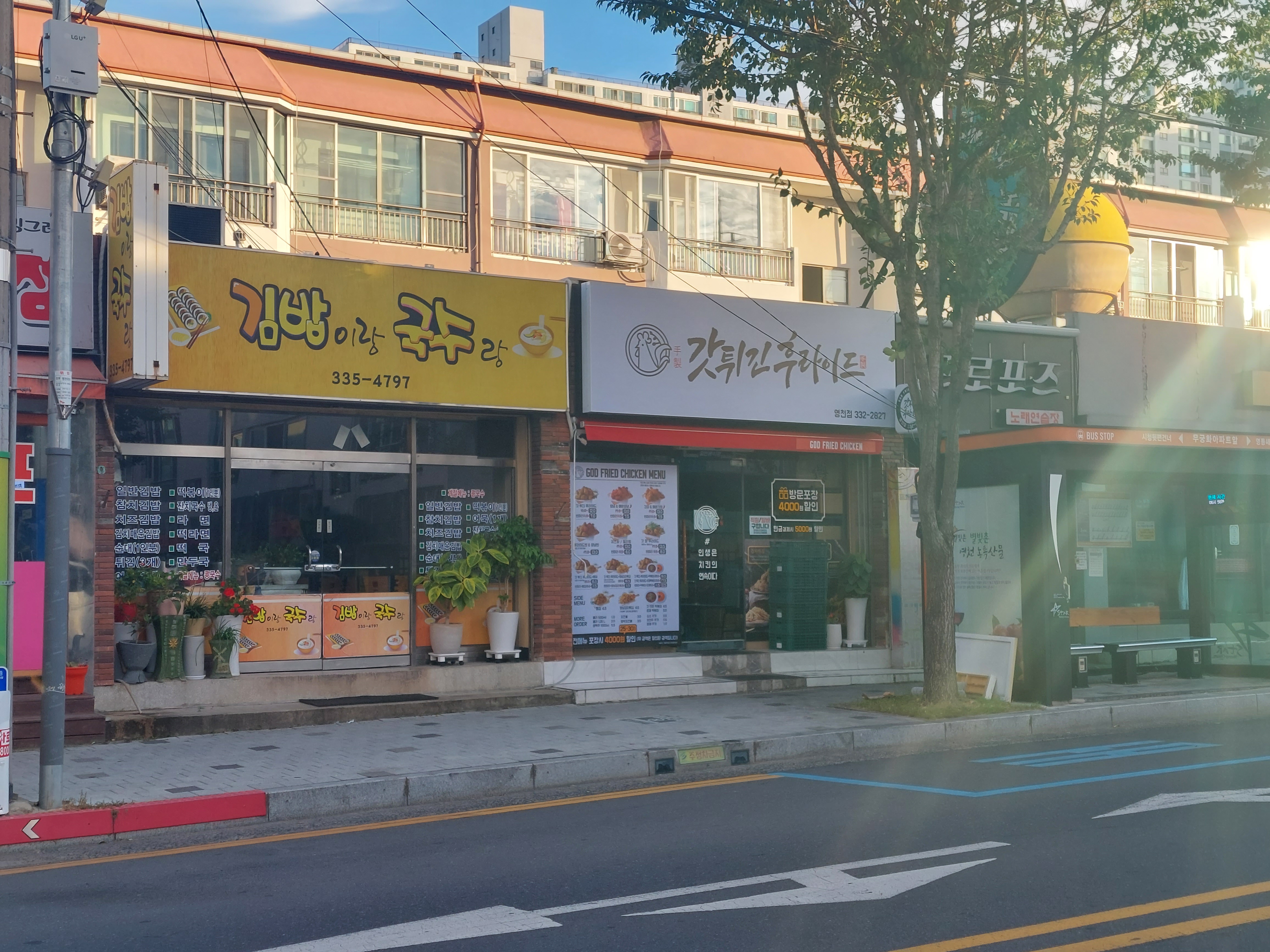 갓튀긴후라이드 영천점