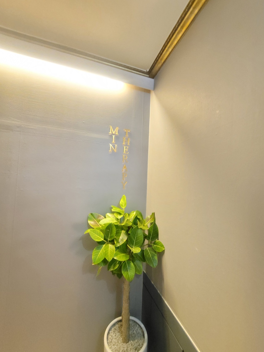 민테라피 photo 2