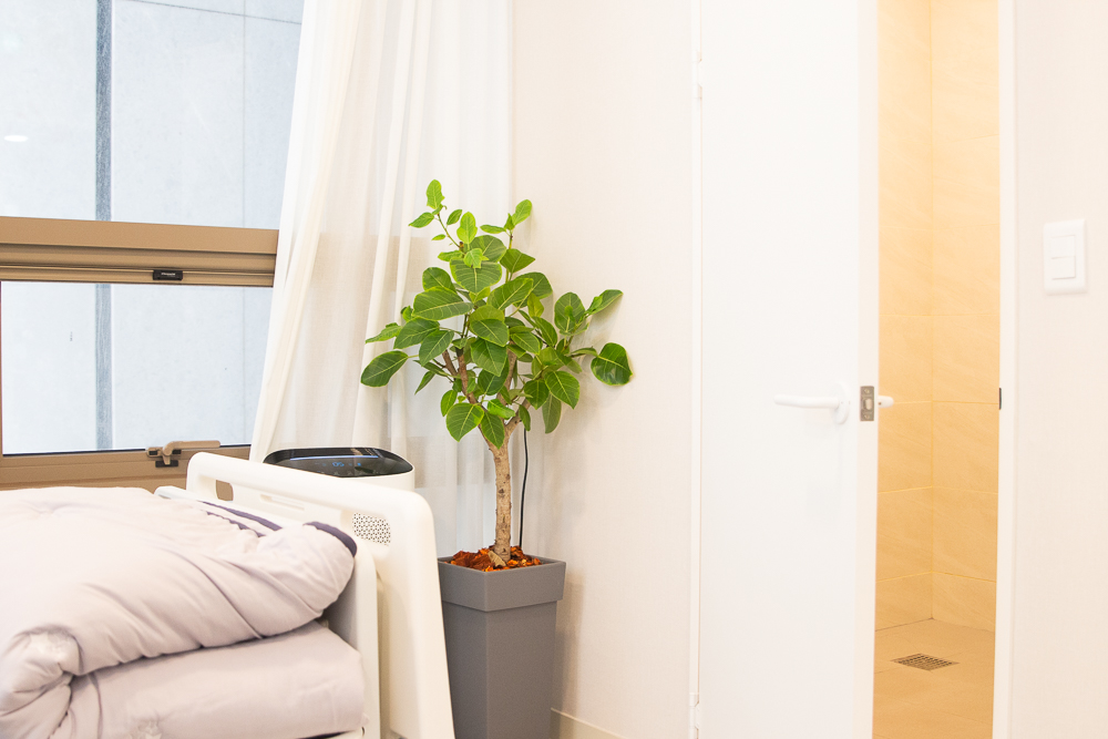 애프터눈성형외과