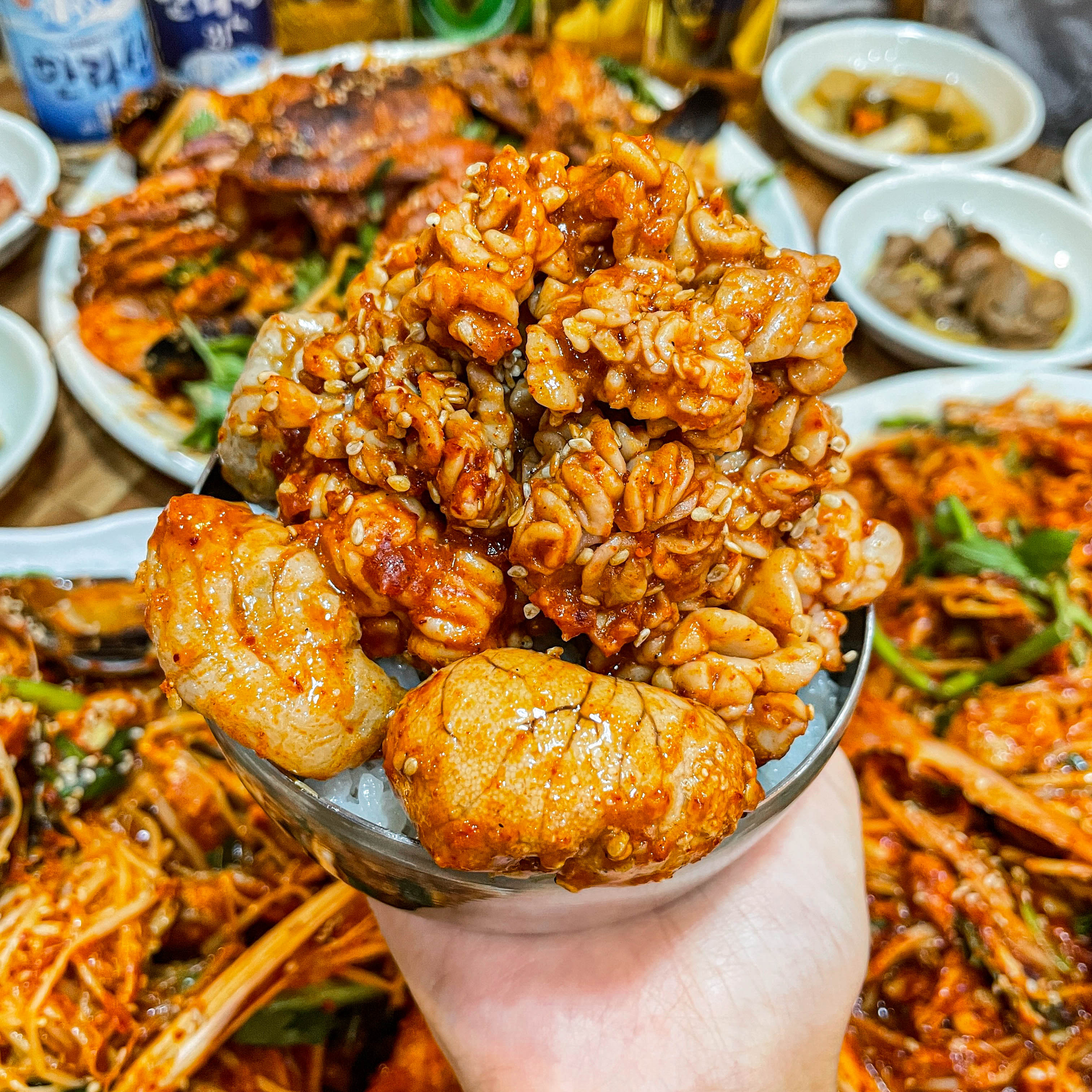 해물나무 제주한림점