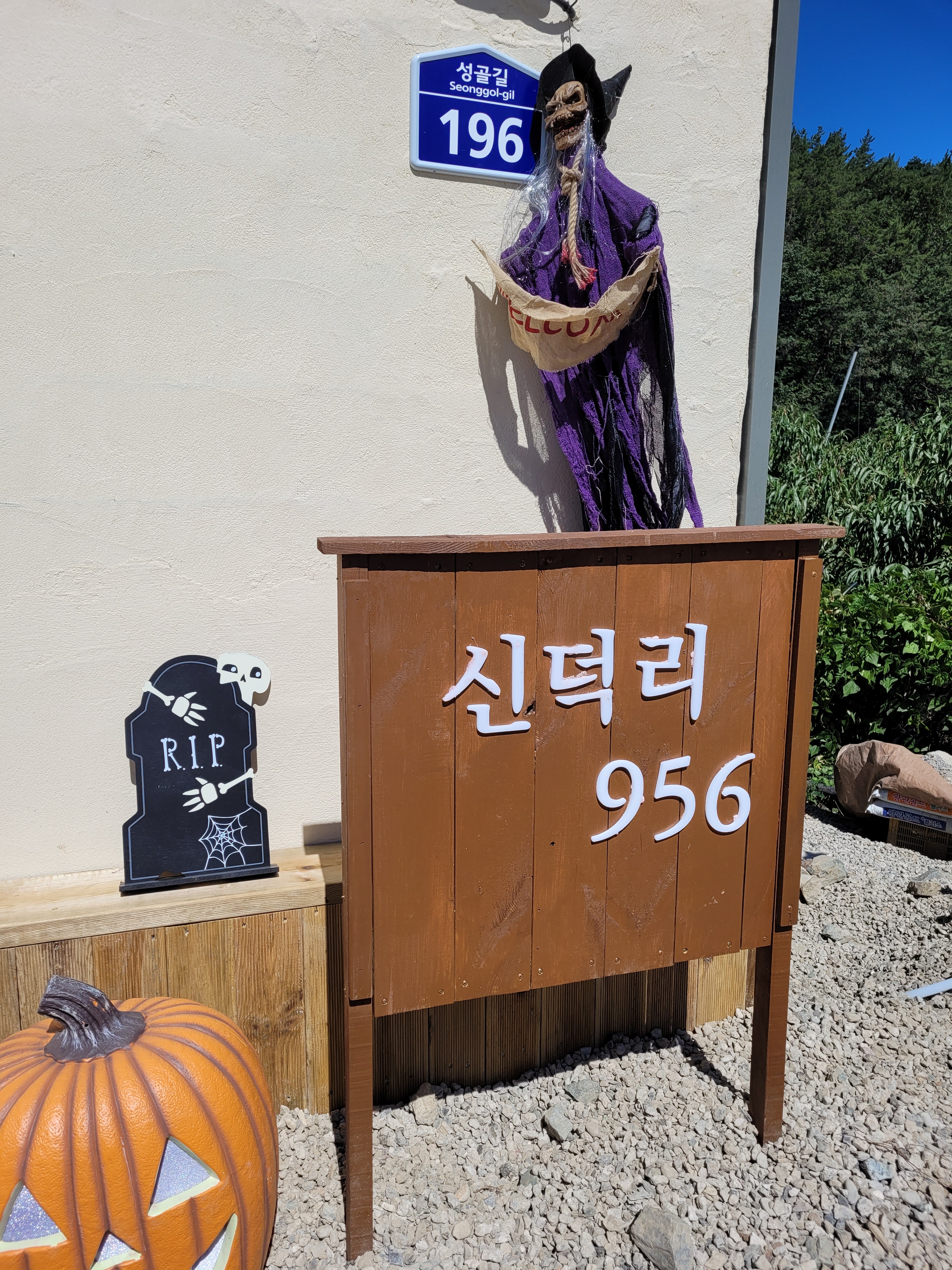 신덕리 콩콩팥팥