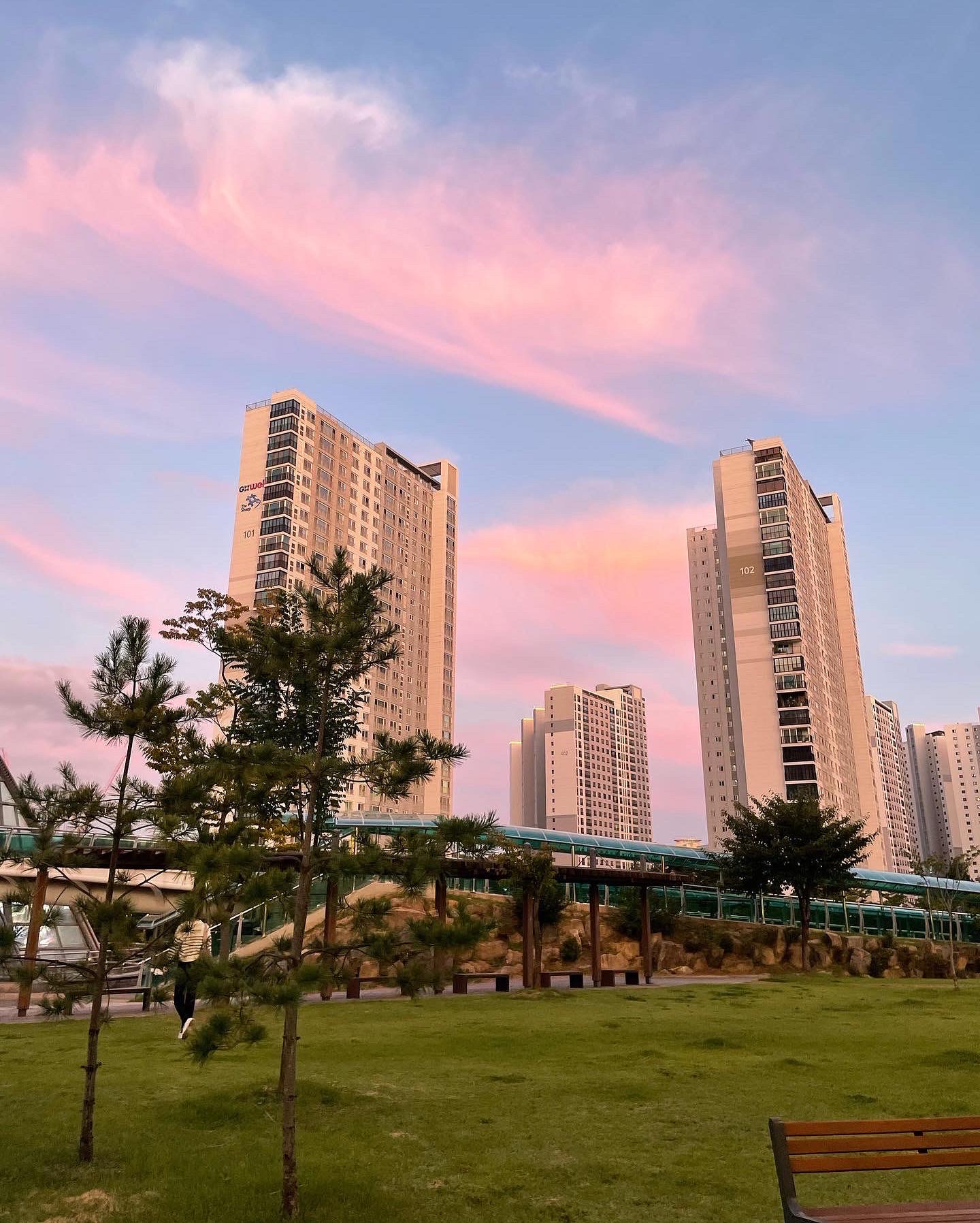 요거트아이스크림의정석 천안불당점