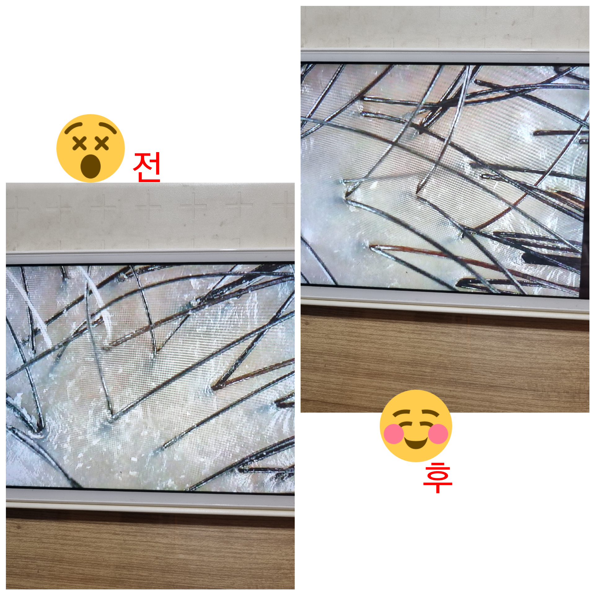 네오나오 송내역점