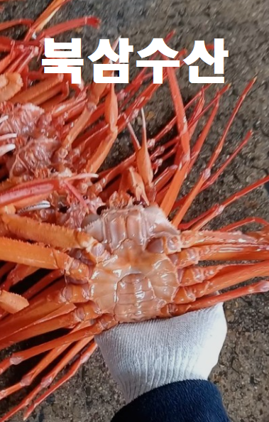 북삼수산시장