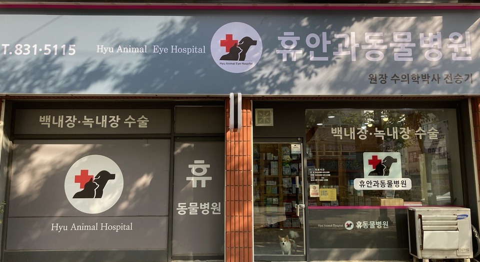 휴안과동물병원
