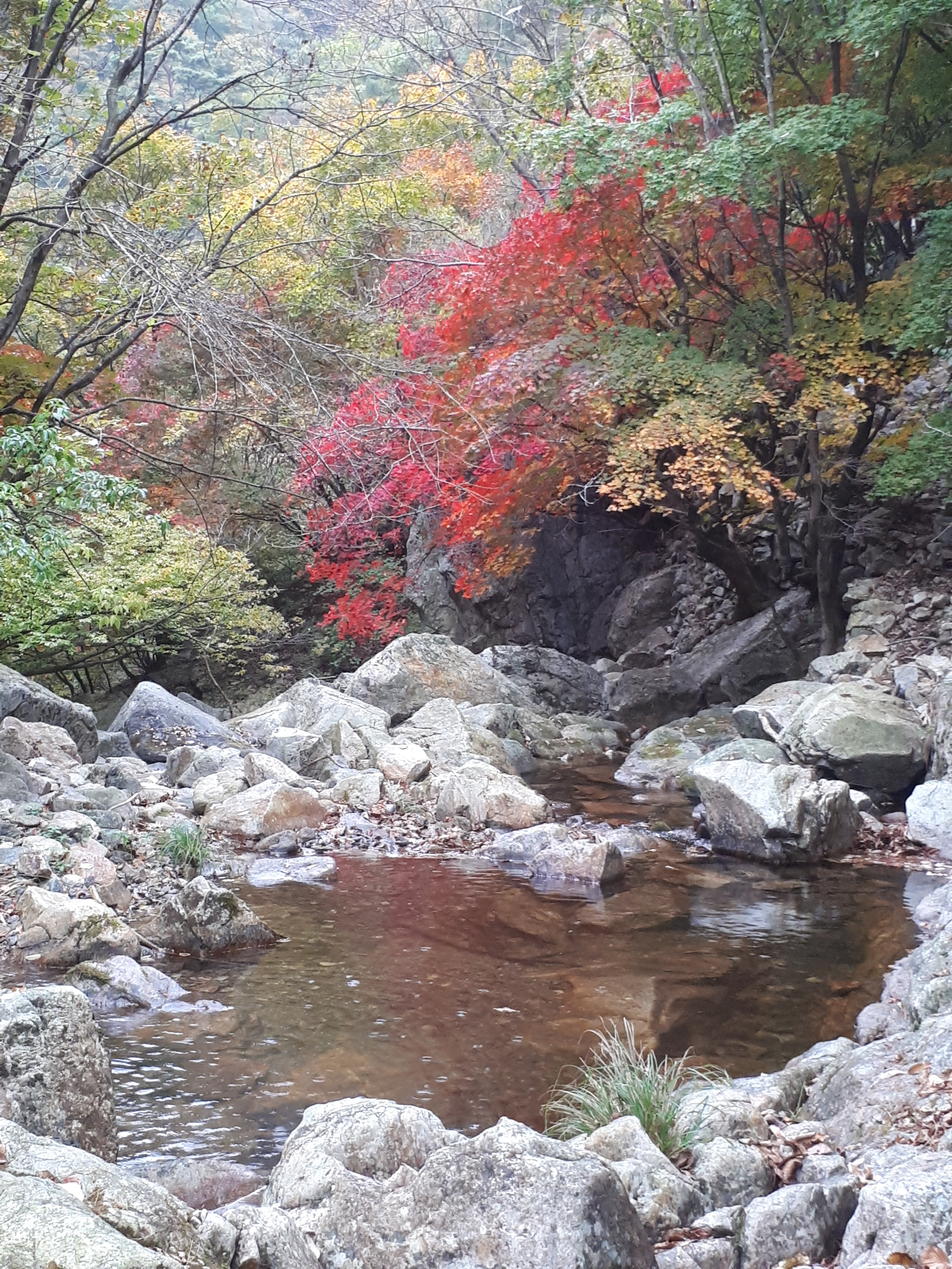용문산그린펜션