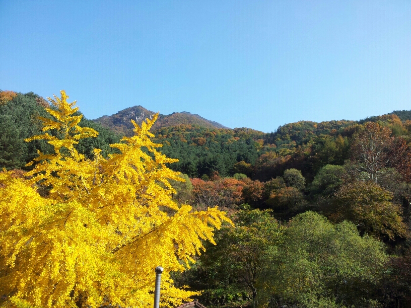 용문산그린펜션