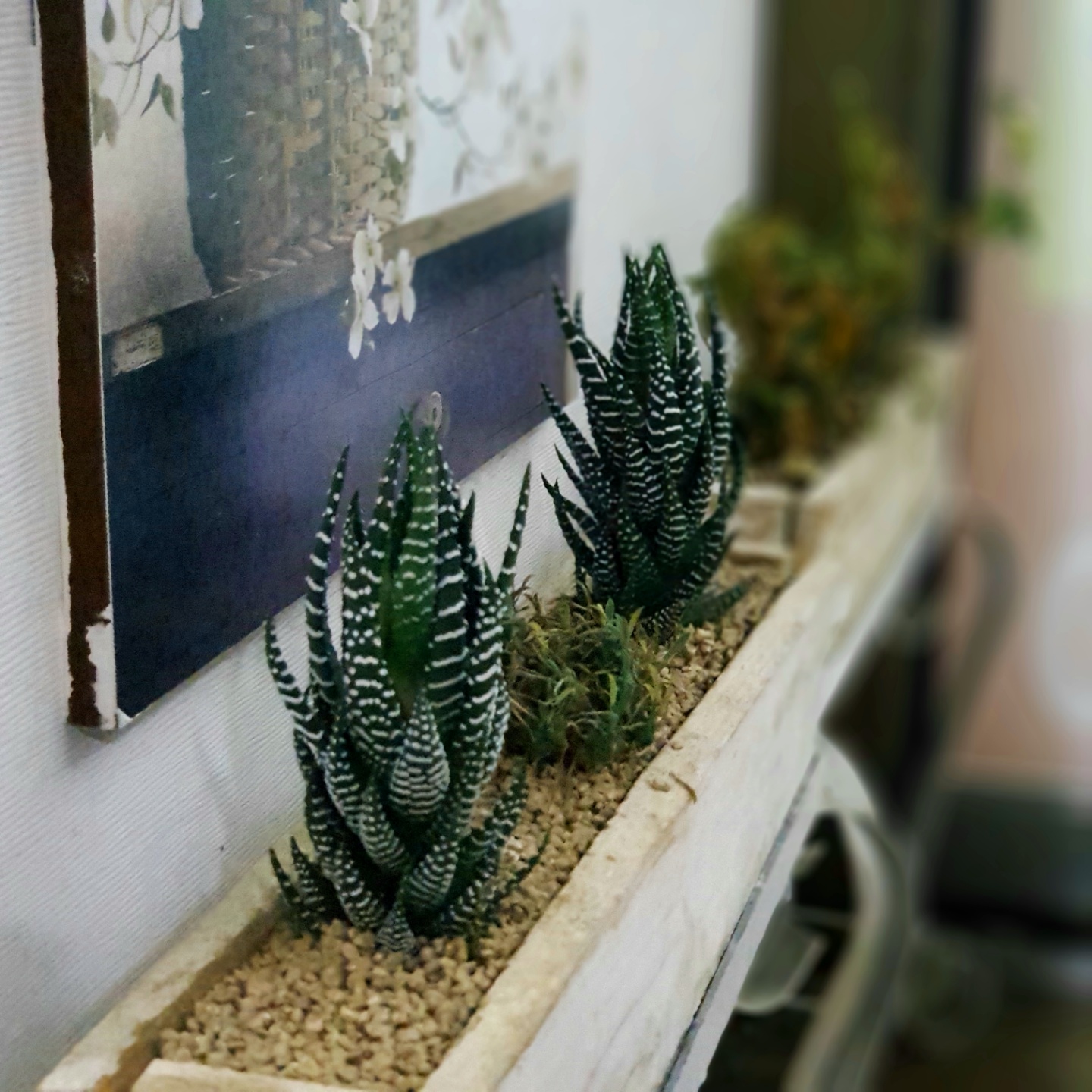 윤자영피부관리실 photo 10