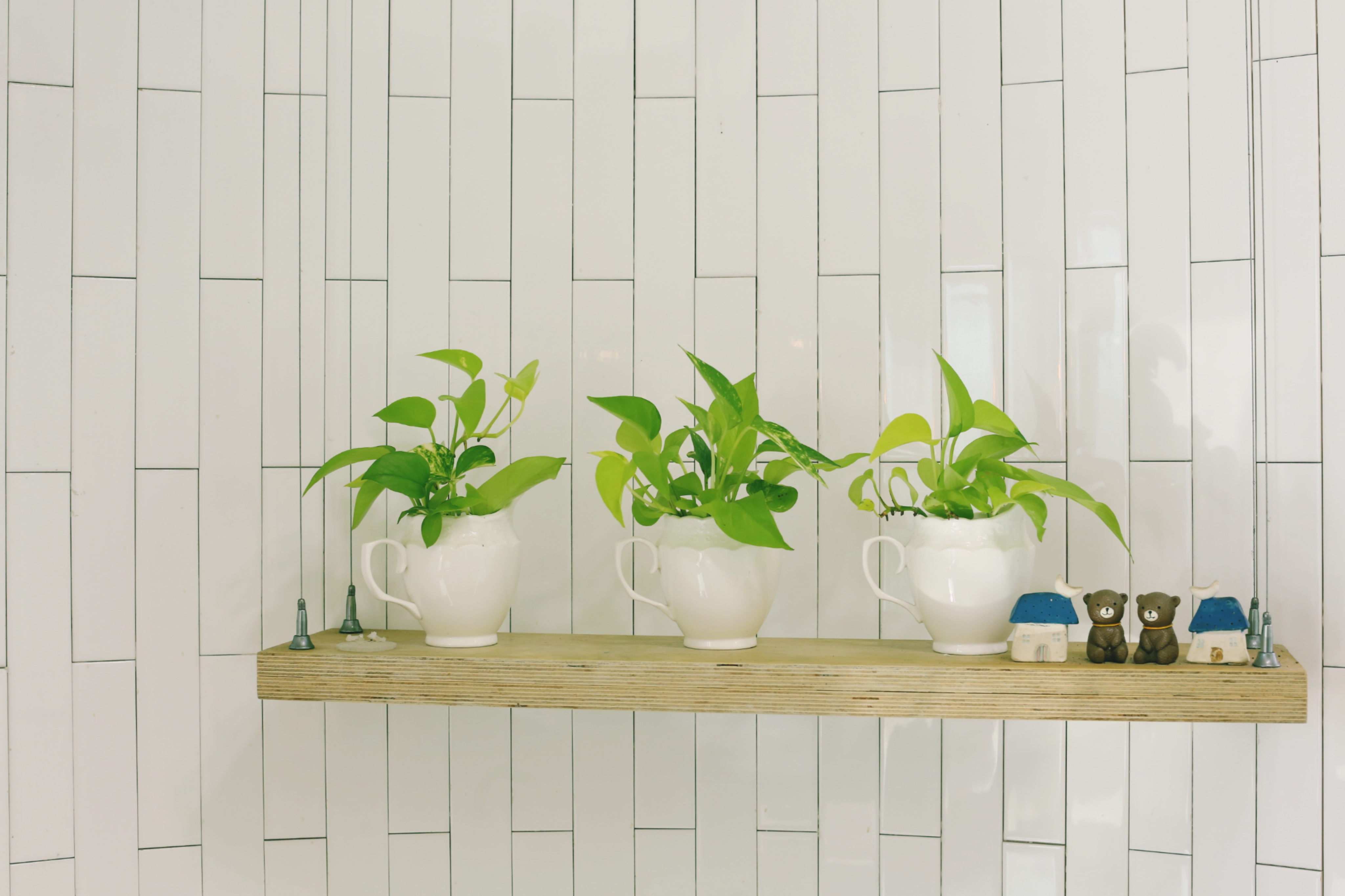 마음수련 상암명상센터 대표 이미지