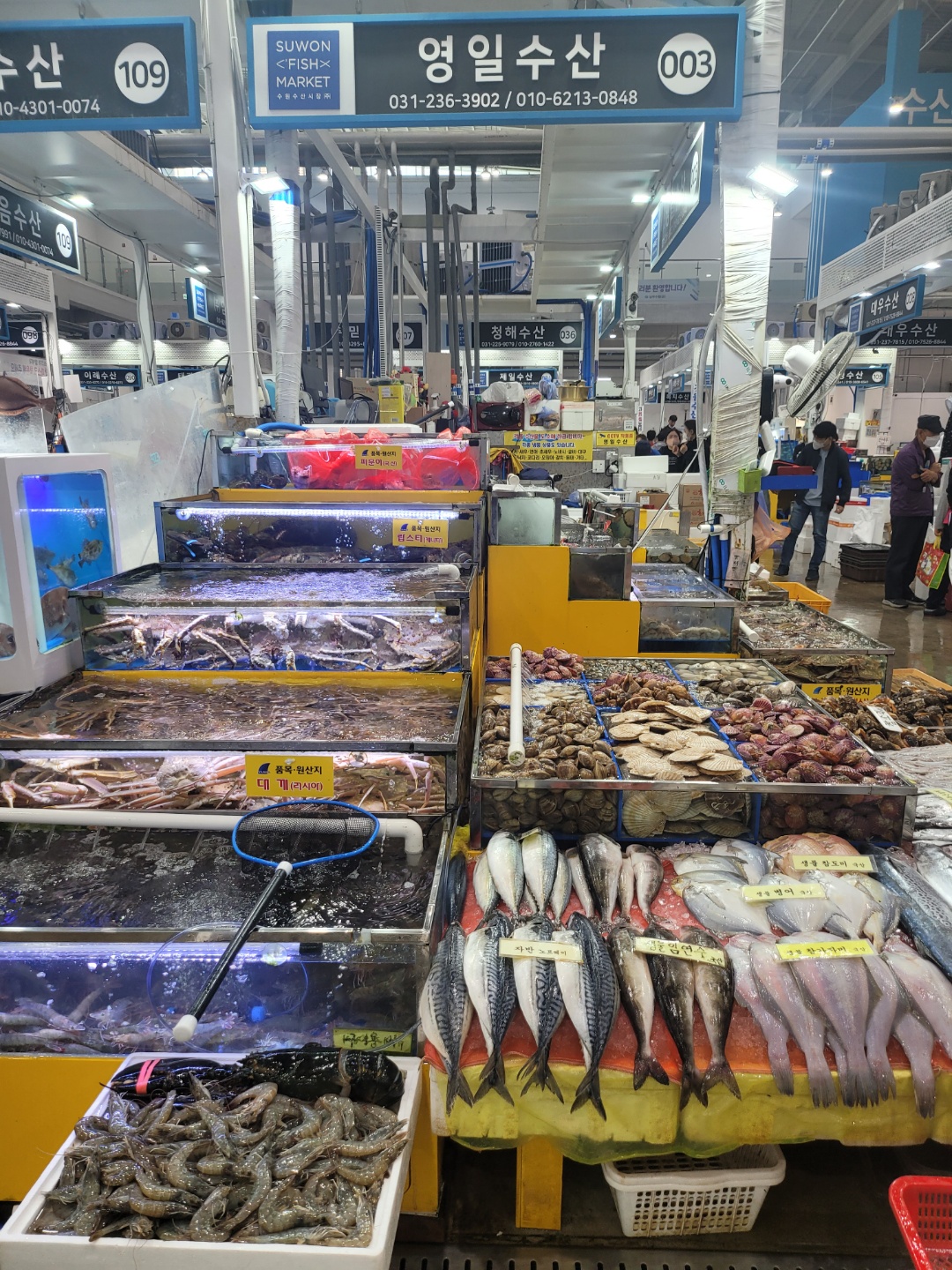 영일수산 수원농수산물도매시장점