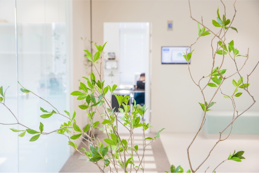 솔솔이비인후과의원 대표 이미지