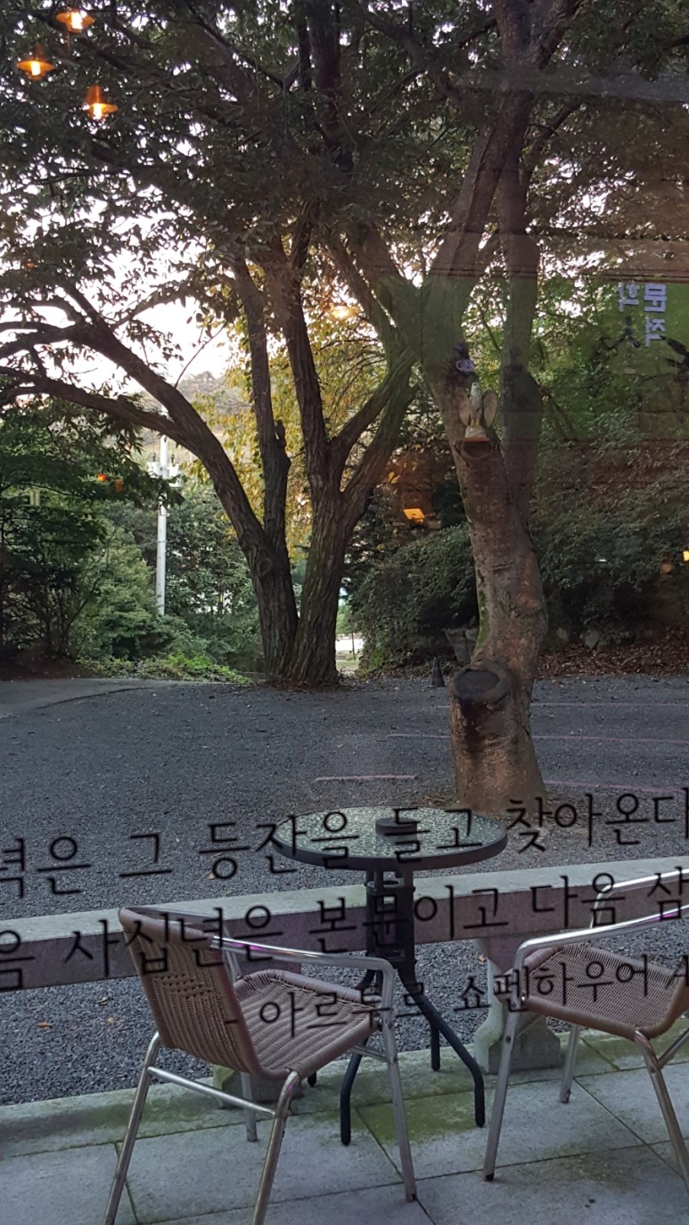 문학적인 대표 이미지