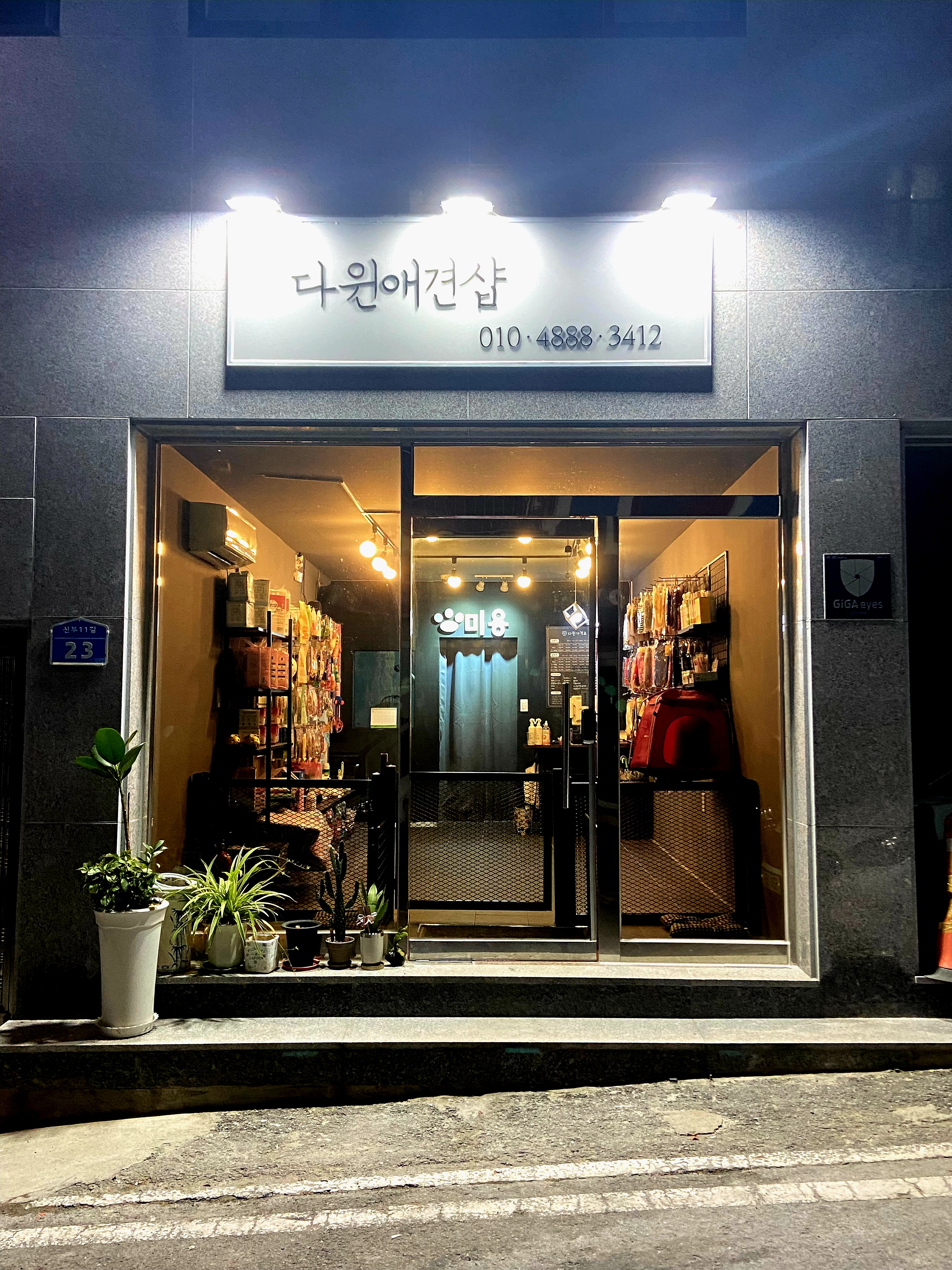 다윈애견샵 관련 이미지