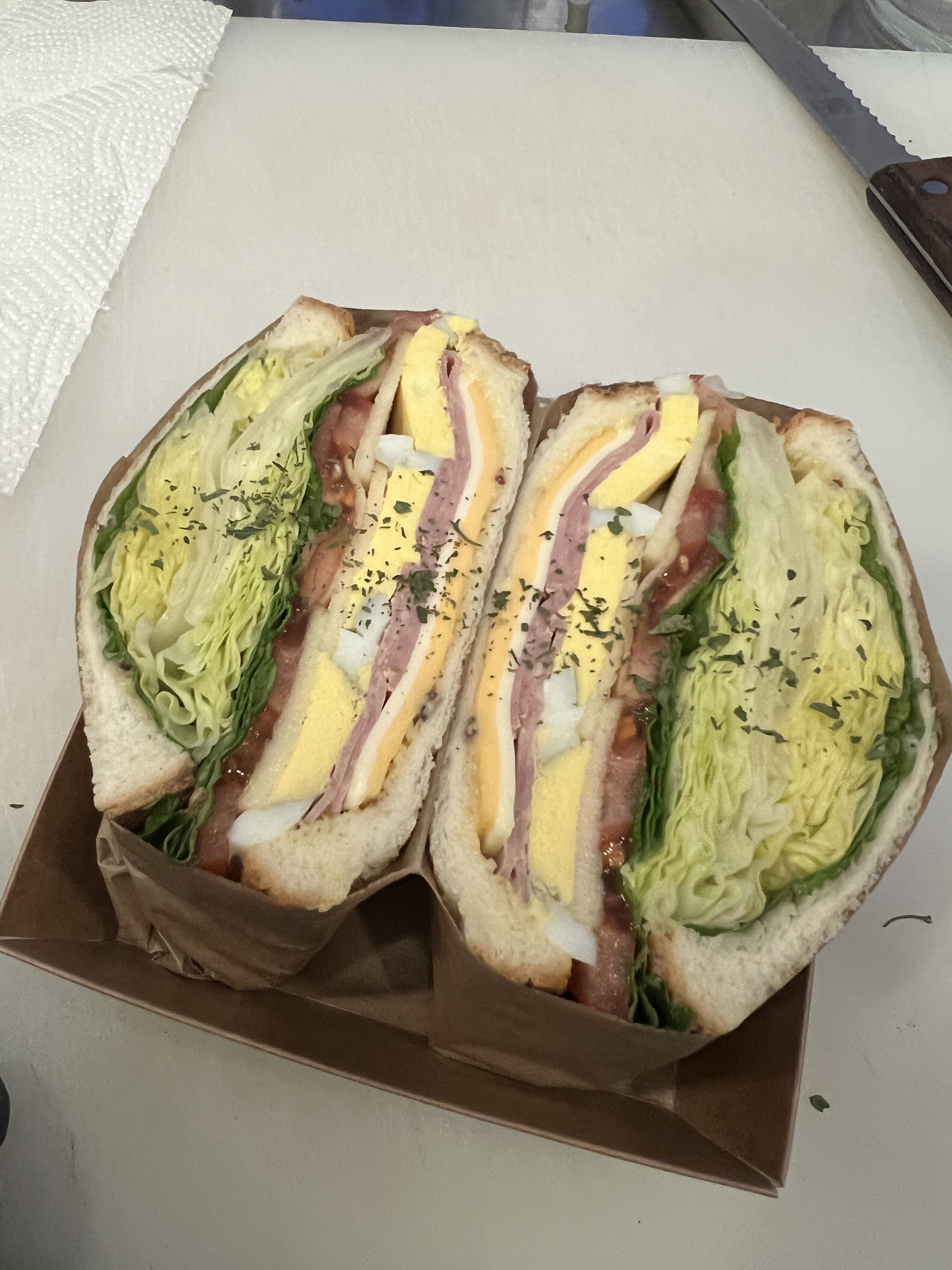 카페이루아 강원 애견맛집