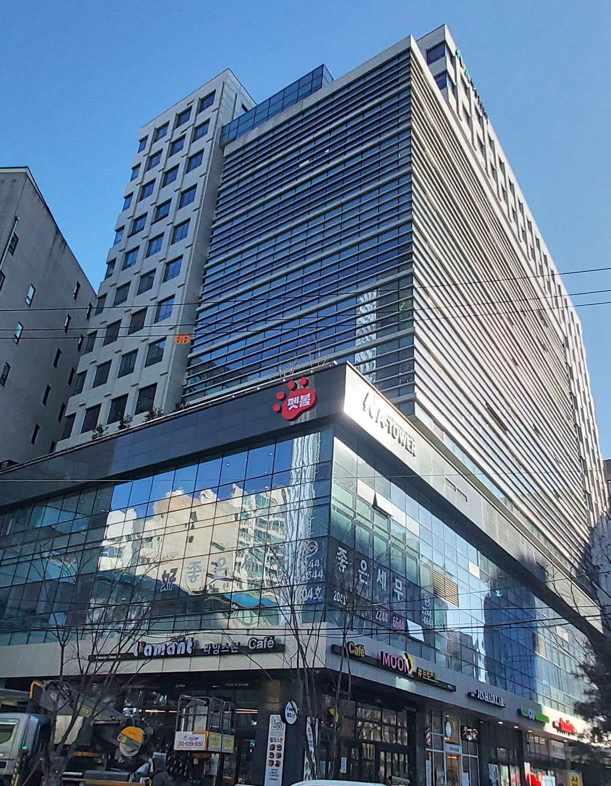 펫봄 대표 이미지