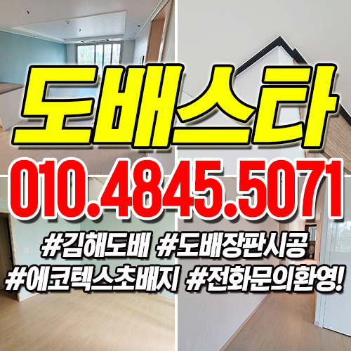 도배스타