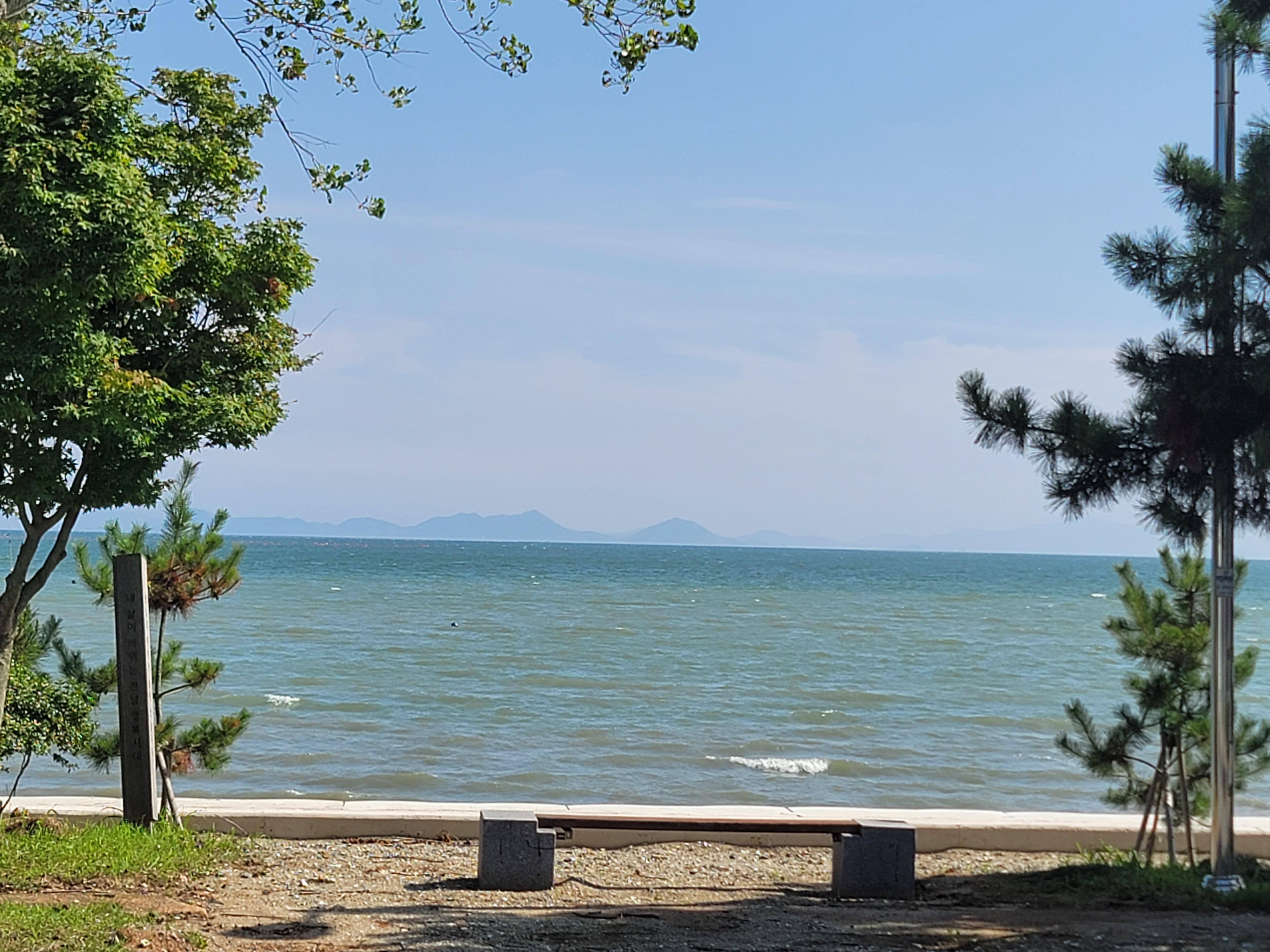 남파랑78 키조개카페 반려동물 동반 애견카페