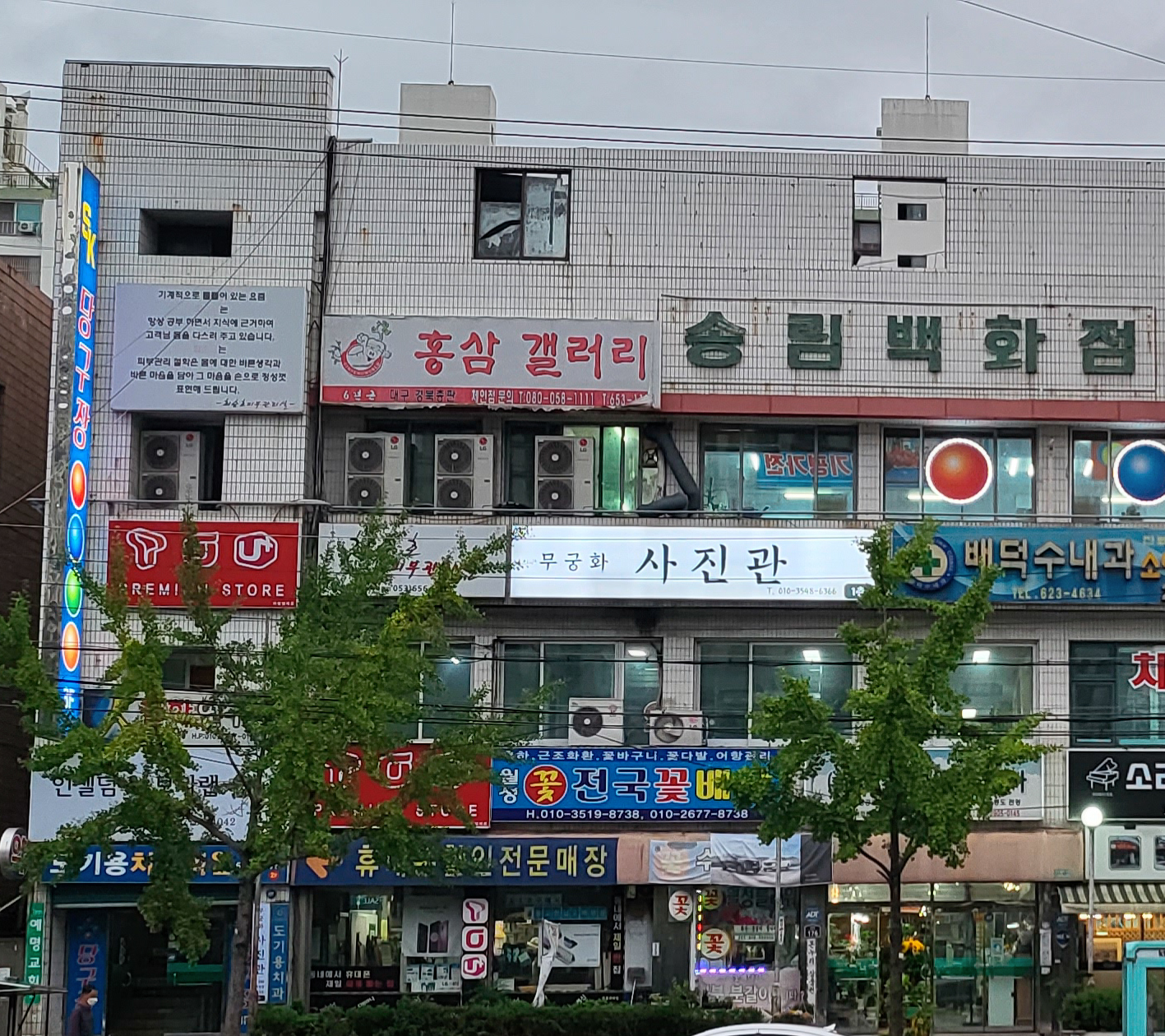 무궁화 사진관