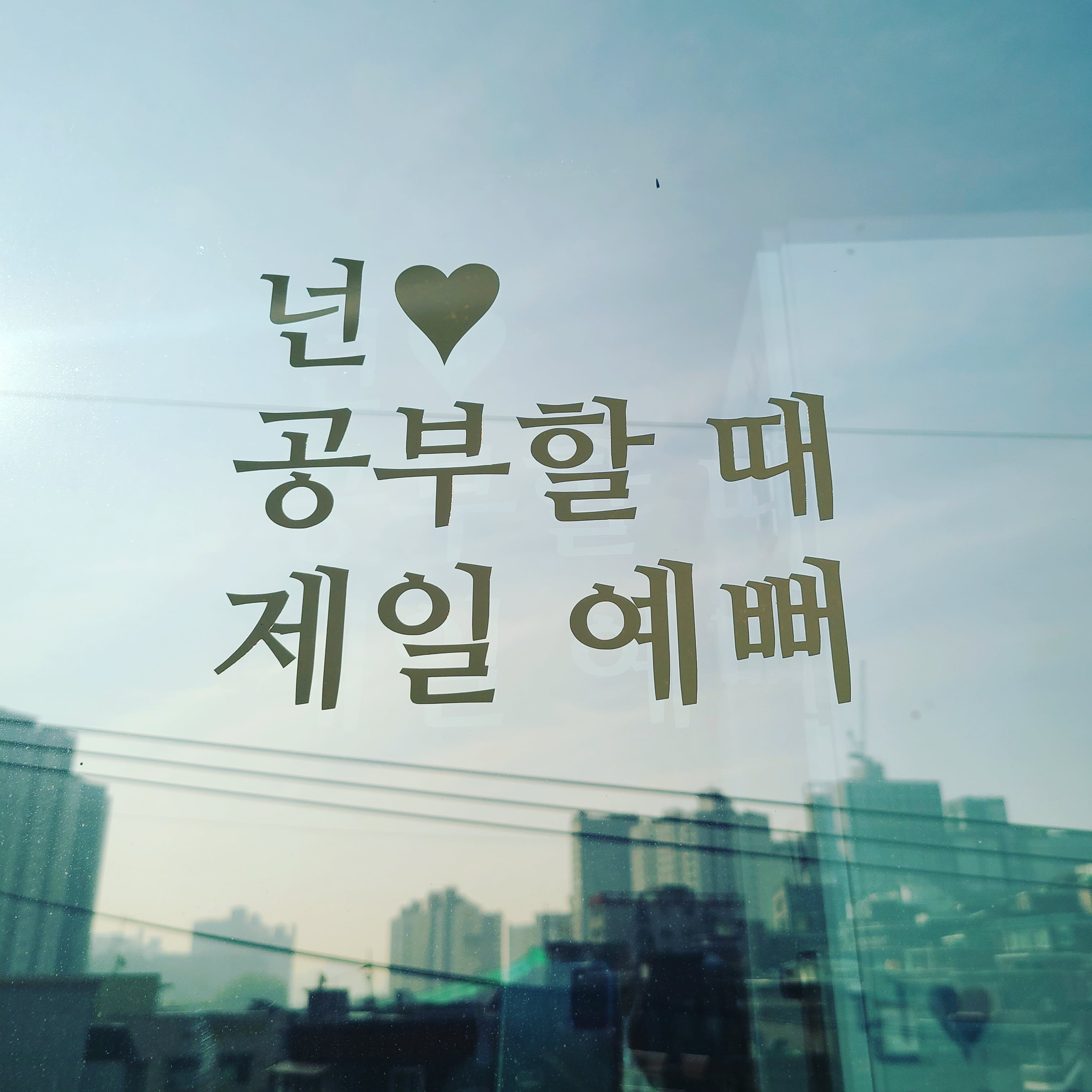 업체사진