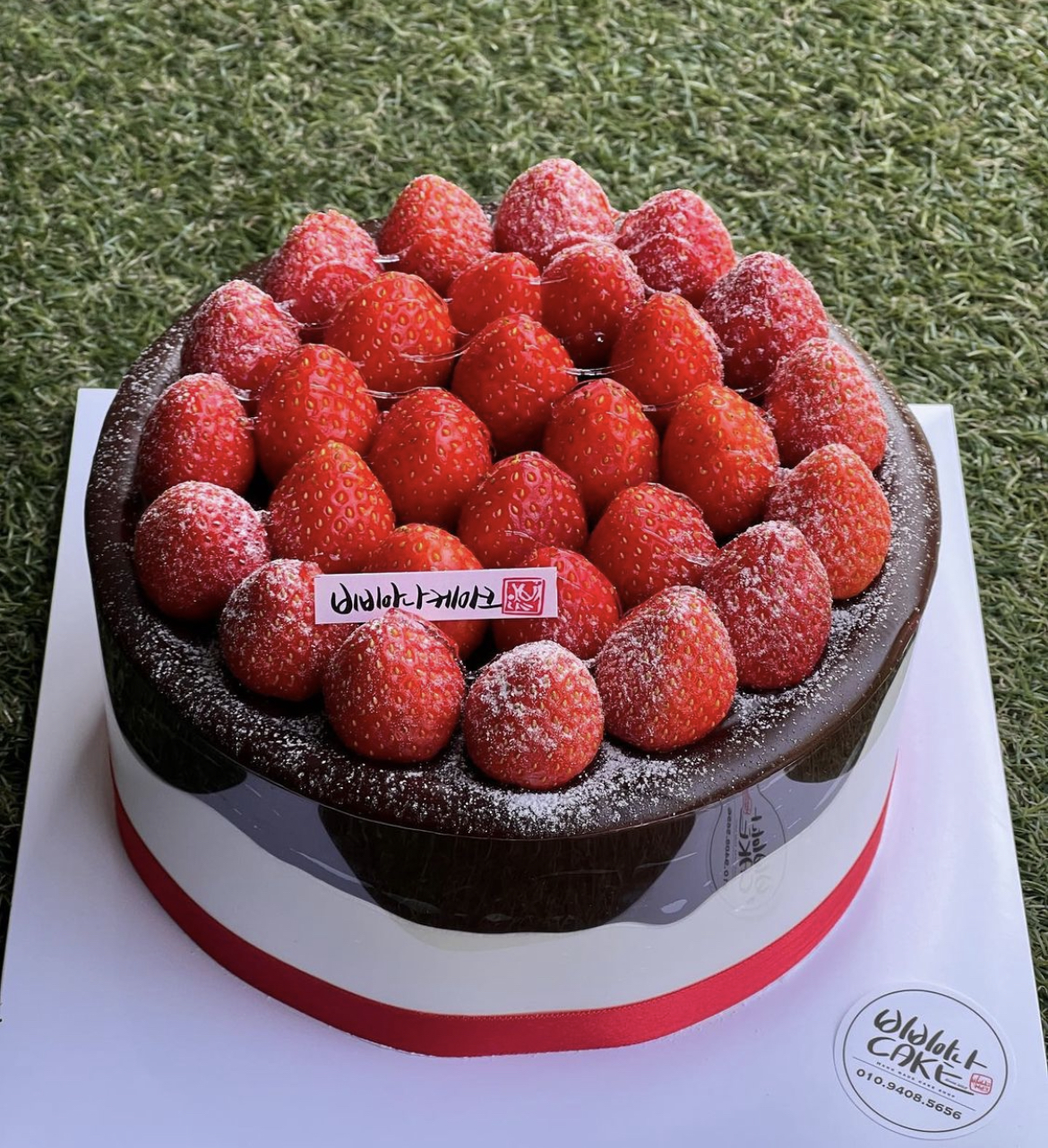 비비아나cake