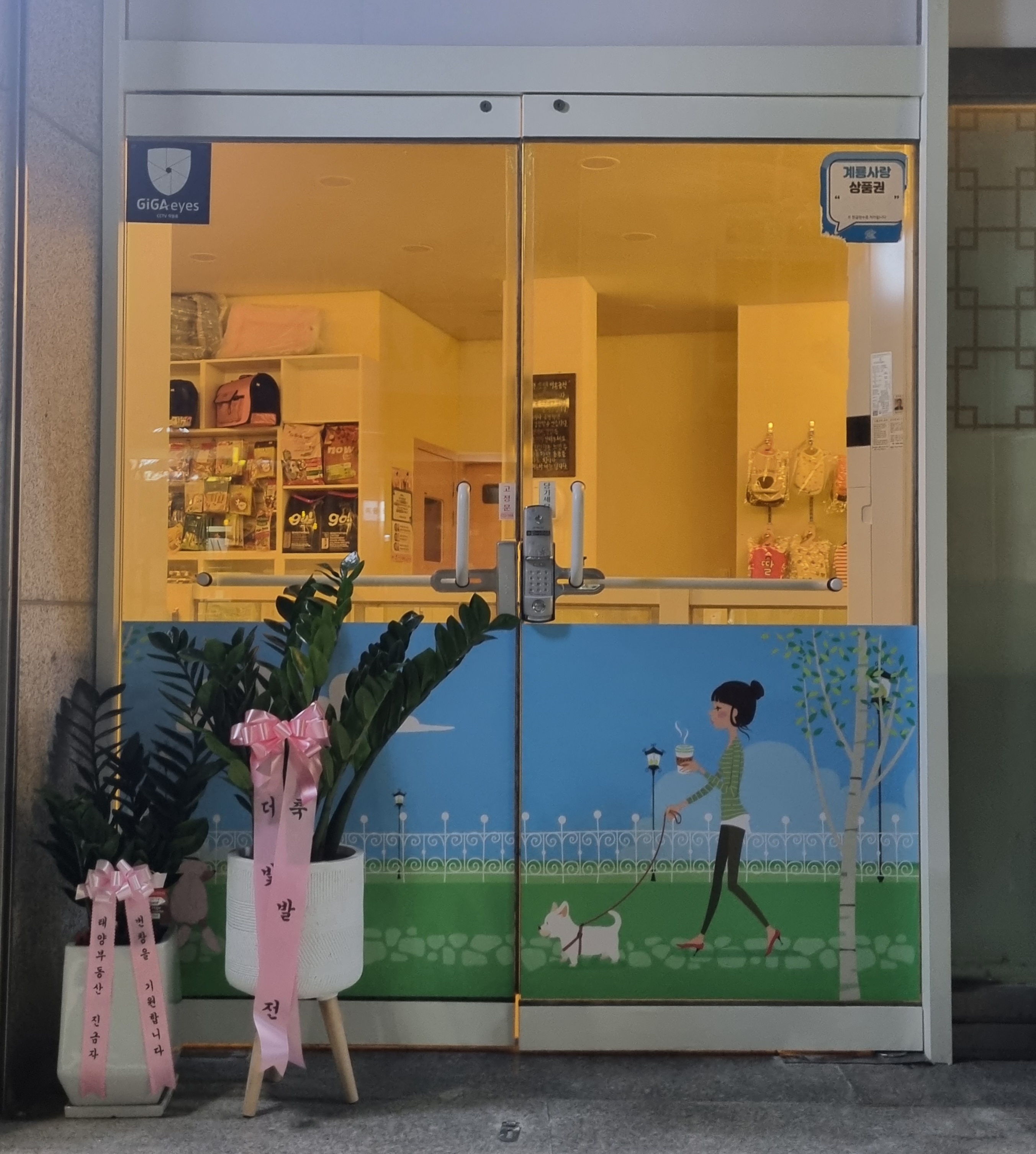 강아지 산책 대표 이미지