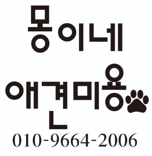 몽이네 애견미용