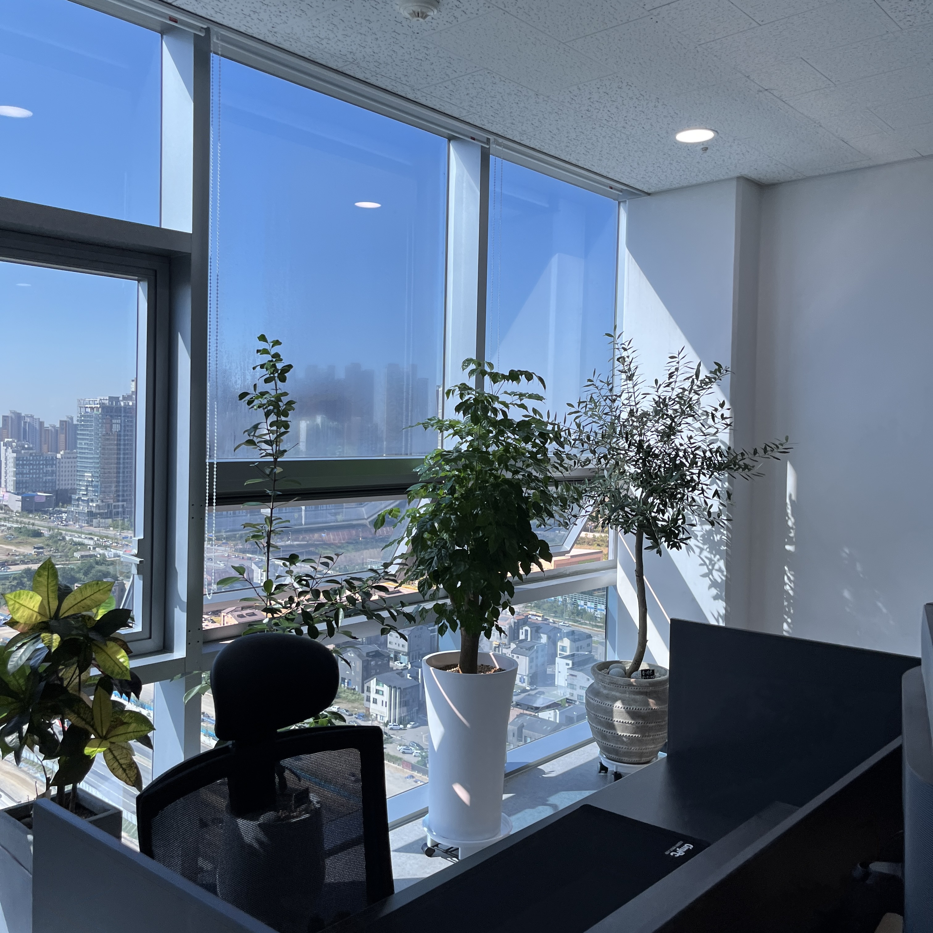 비트세무회계 백승택 세무사 대표 이미지