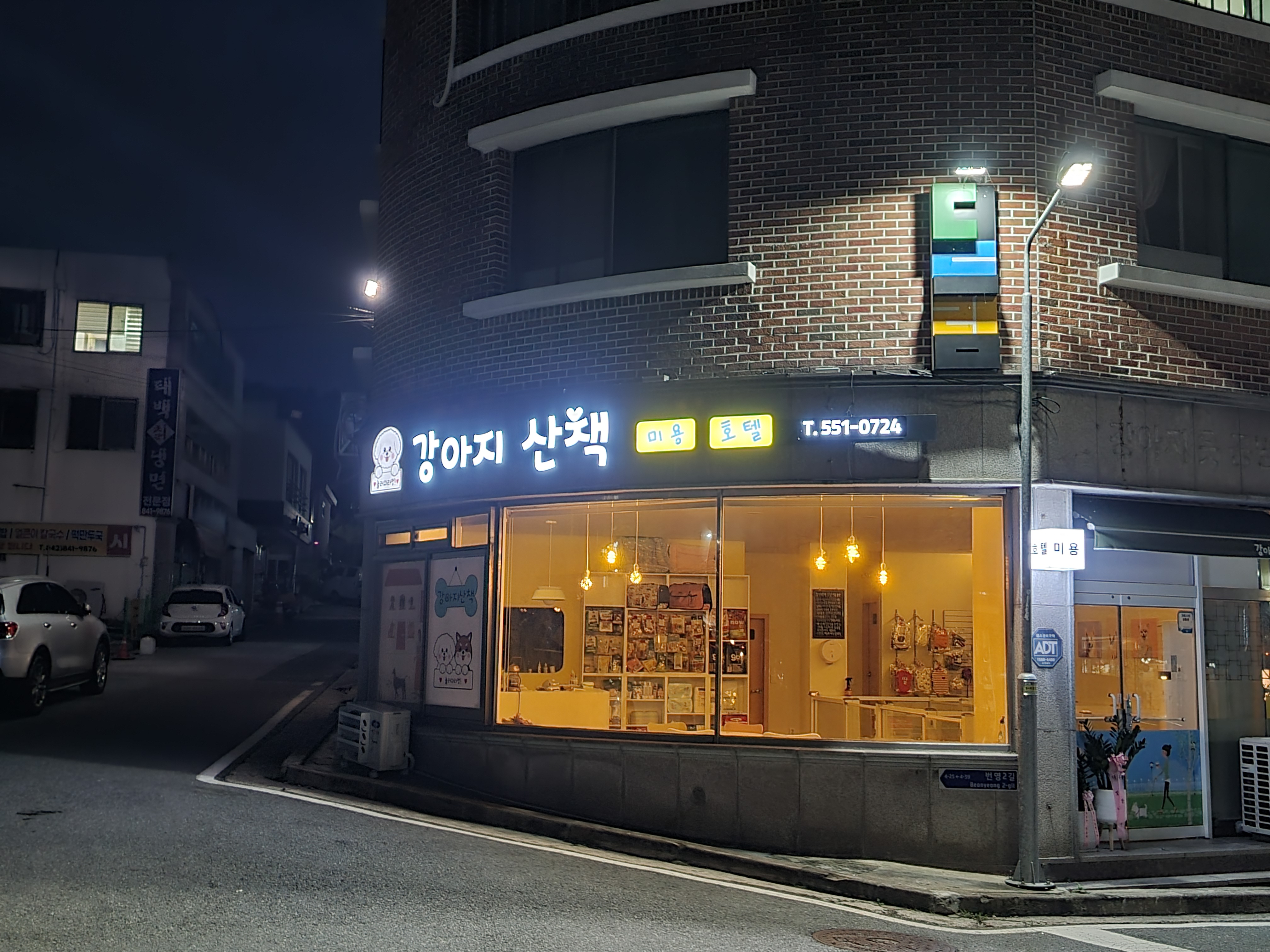 강아지 산책 대표 이미지
