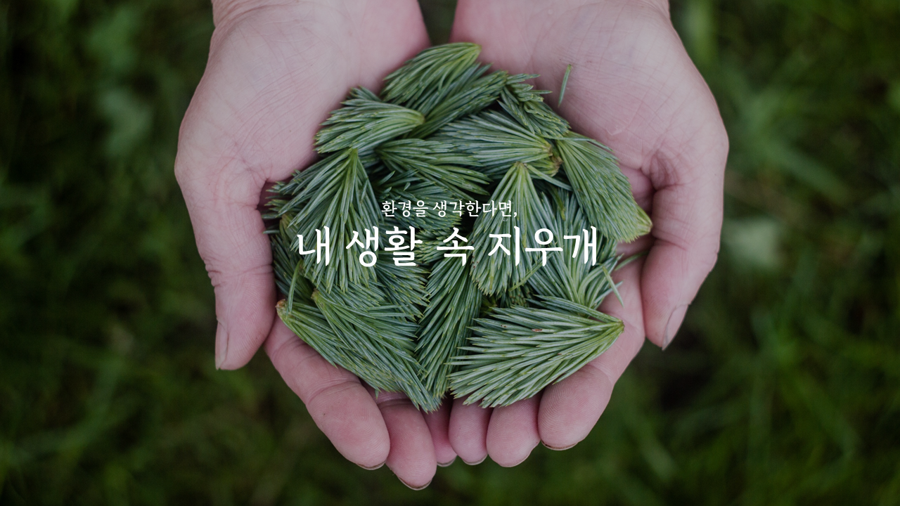 와이케이