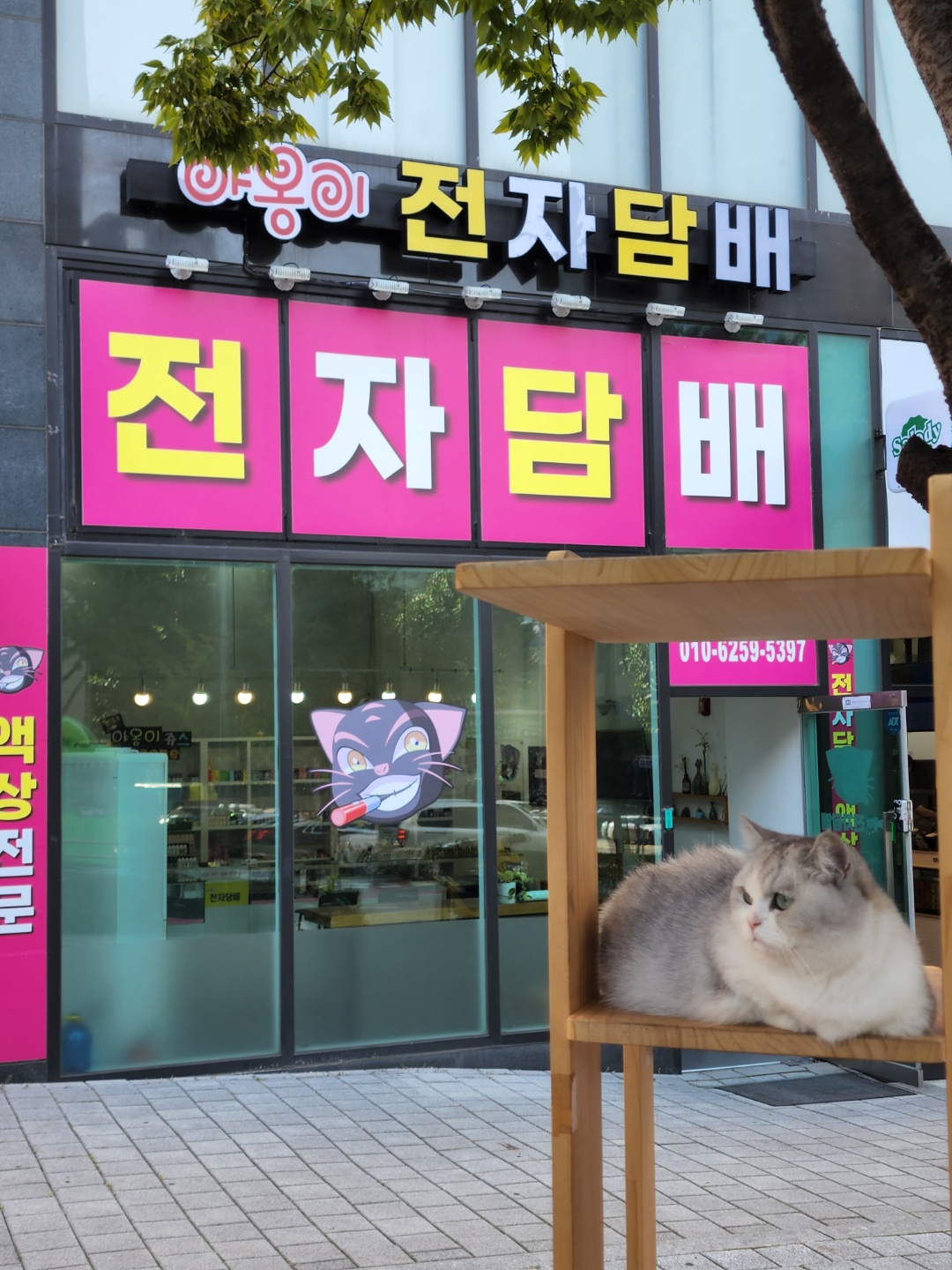 야옹이전자담배 강남본점