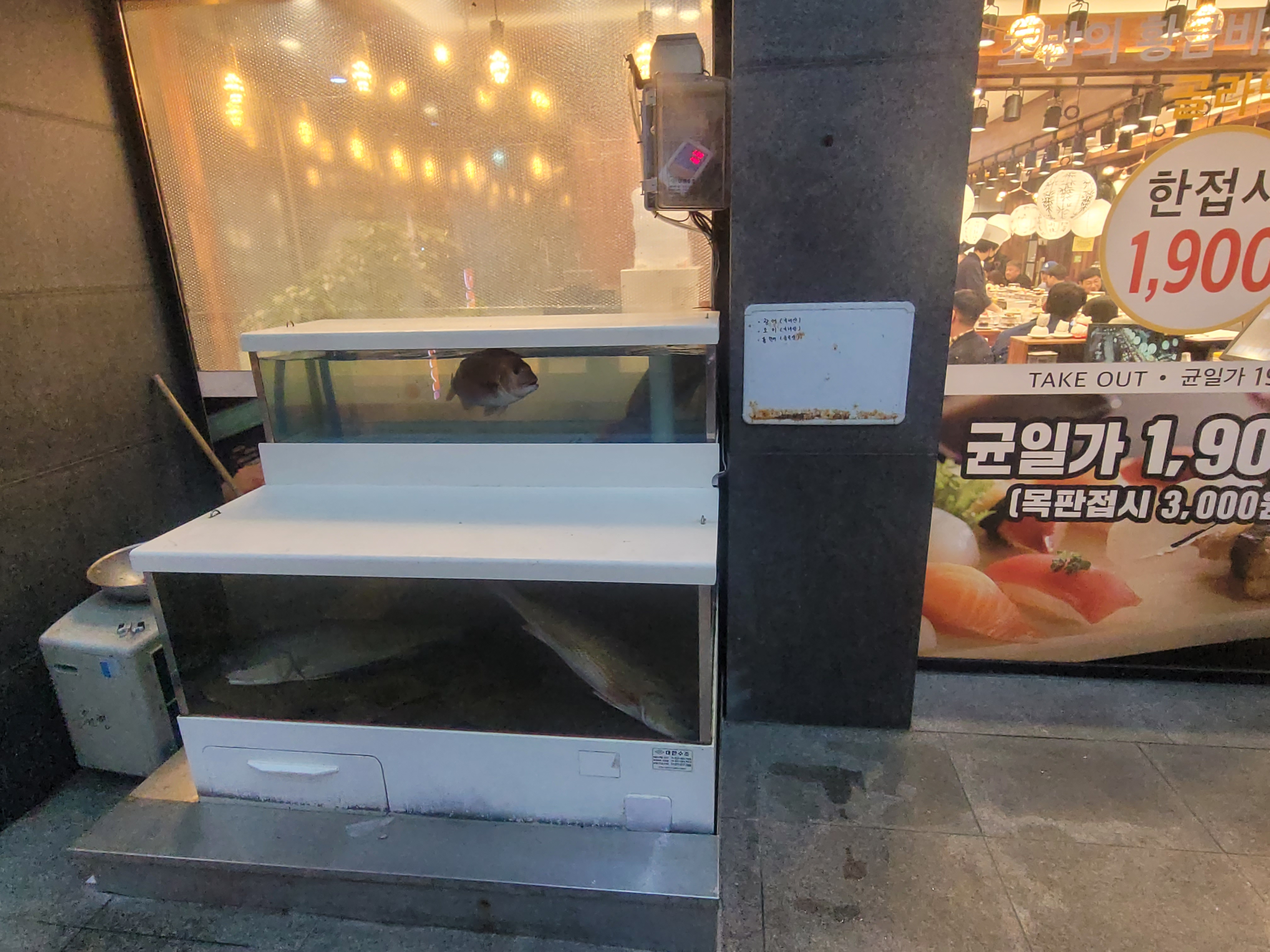 스시다이와 회전초밥 당진점