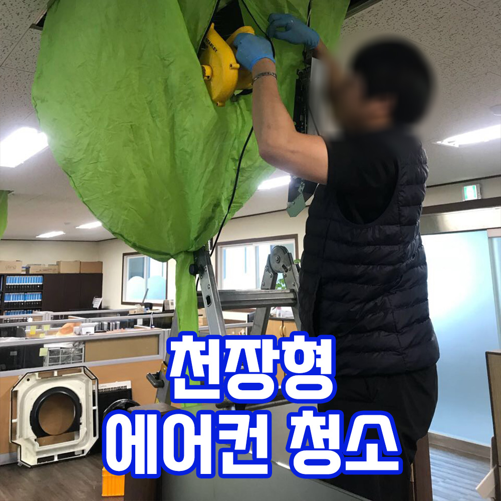 클린업플러스